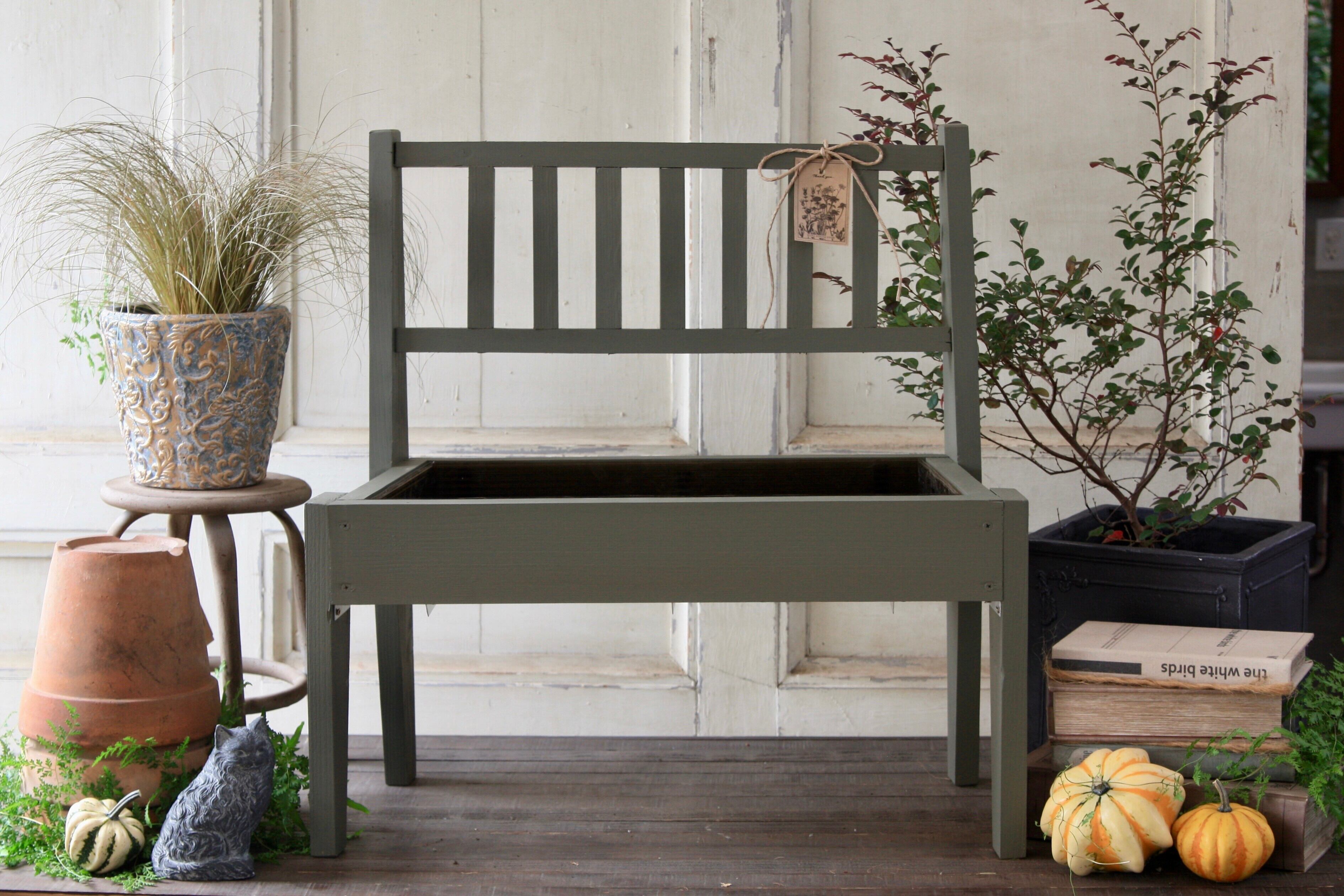 ④オリーブツリー（エコマルシェオニヅカ 井上店長コラボ記念カラー）