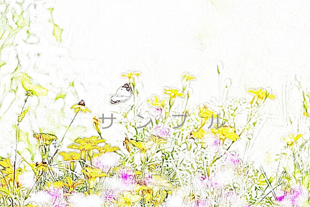 花とチョウチョ920