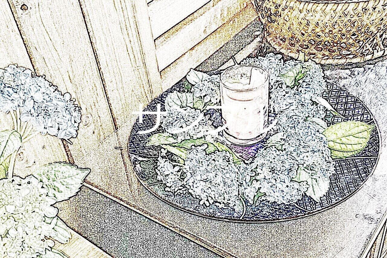 アジサイリース9201