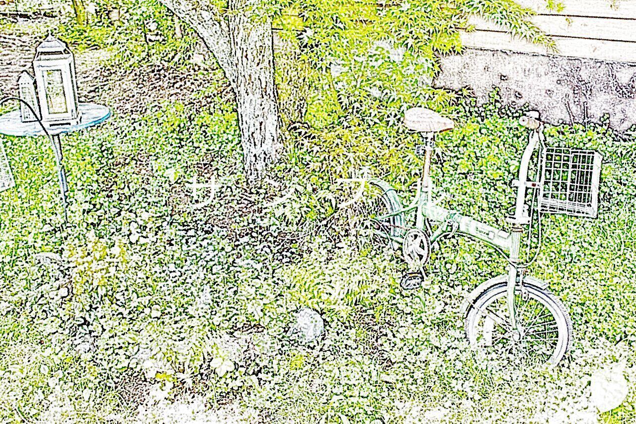庭と自転車930