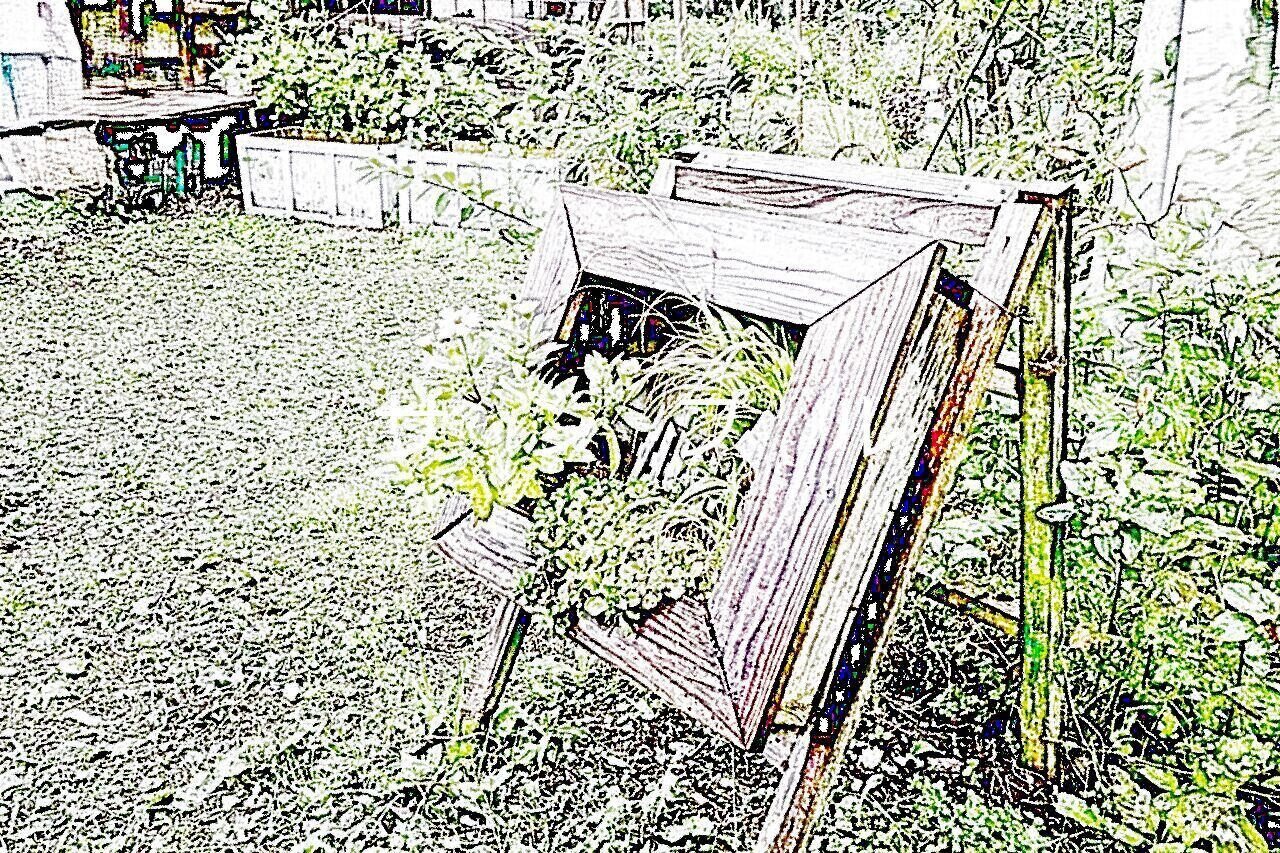 ウェルカムガーデン