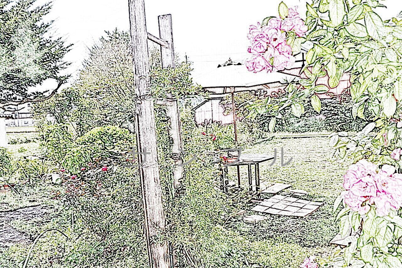 ガーデンパラソル