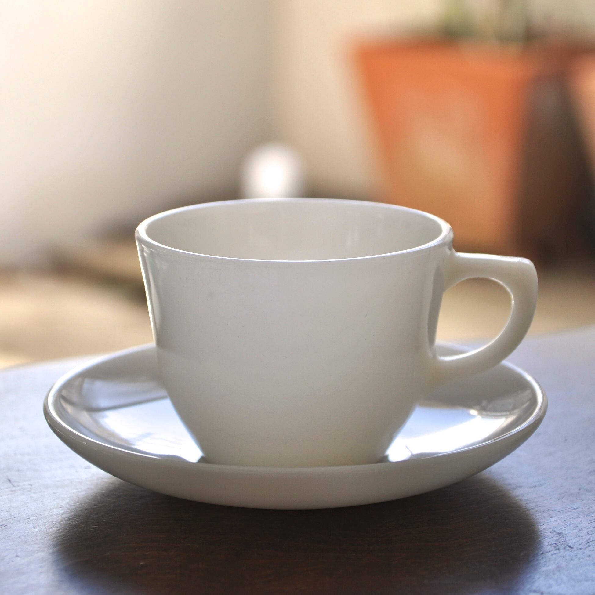 1700Line ランソムカップ アイボリー レア★★☆☆☆