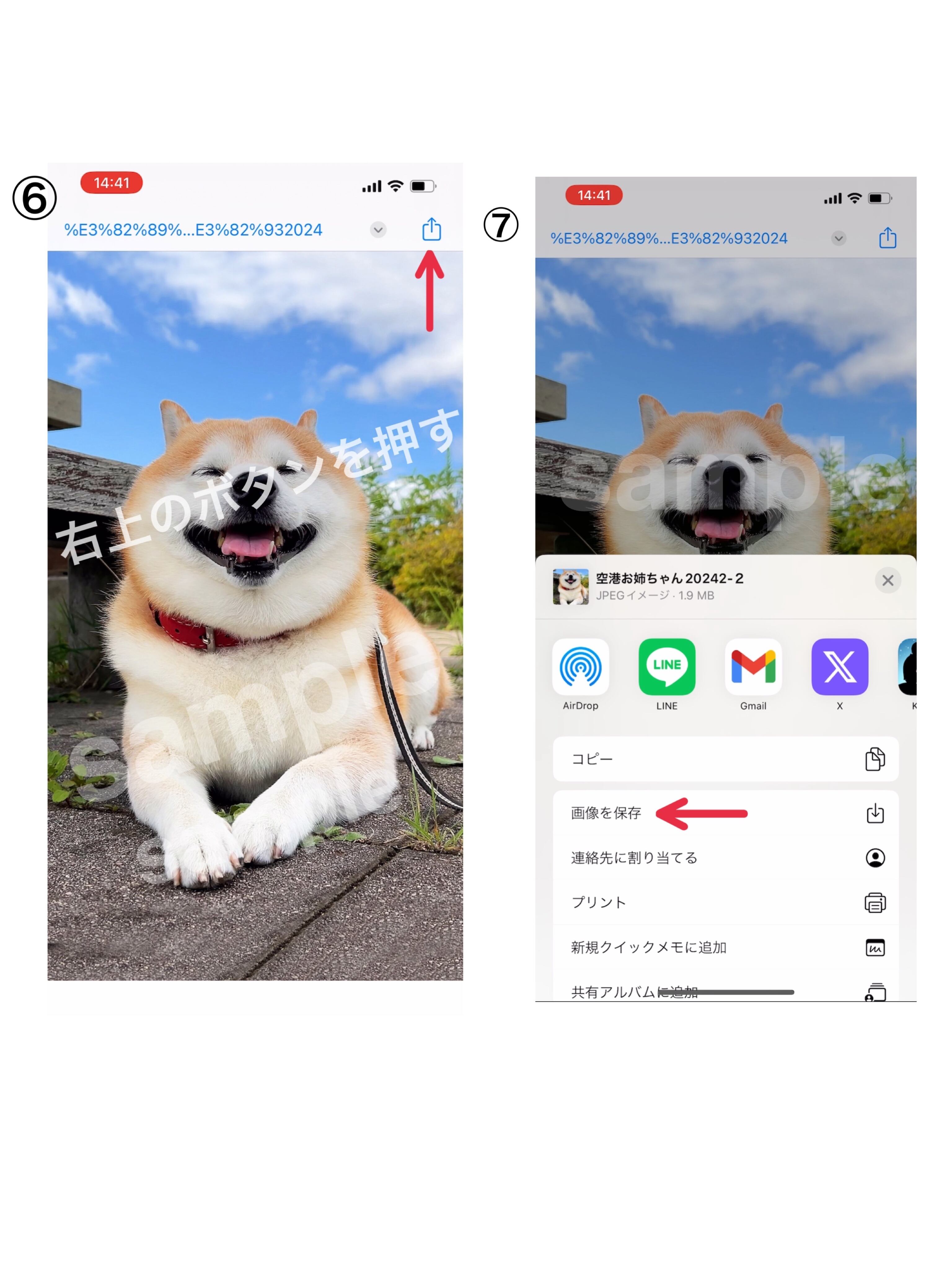⑥画像が表示されるので右上のボタンを押す⑦下から表示される「画像を保存」を押す ⑧完了