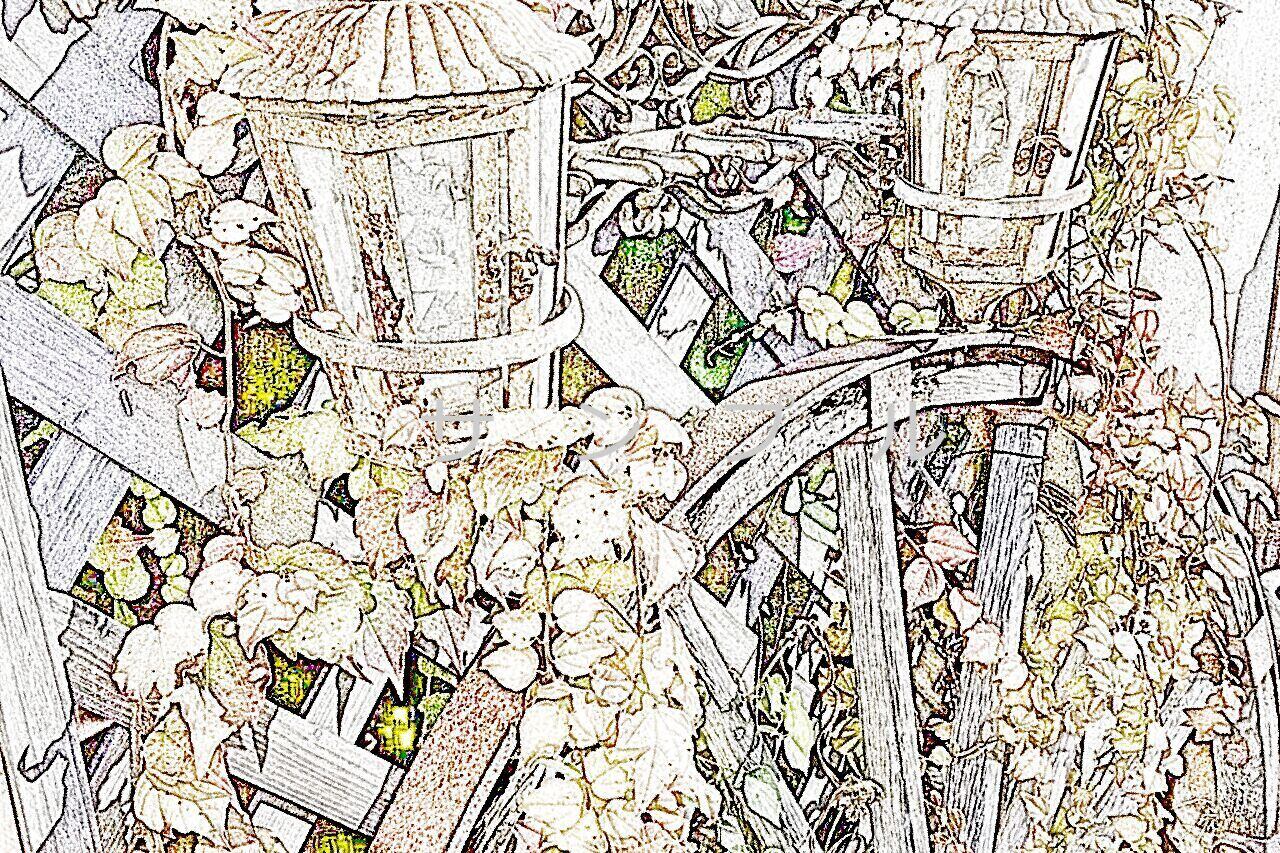 ランタンとツタ1004