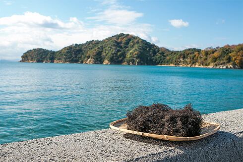 Kenko Foods】海人の藻塩（あまびとのもしお）天然塩／ 海藻浸漬法藻塩