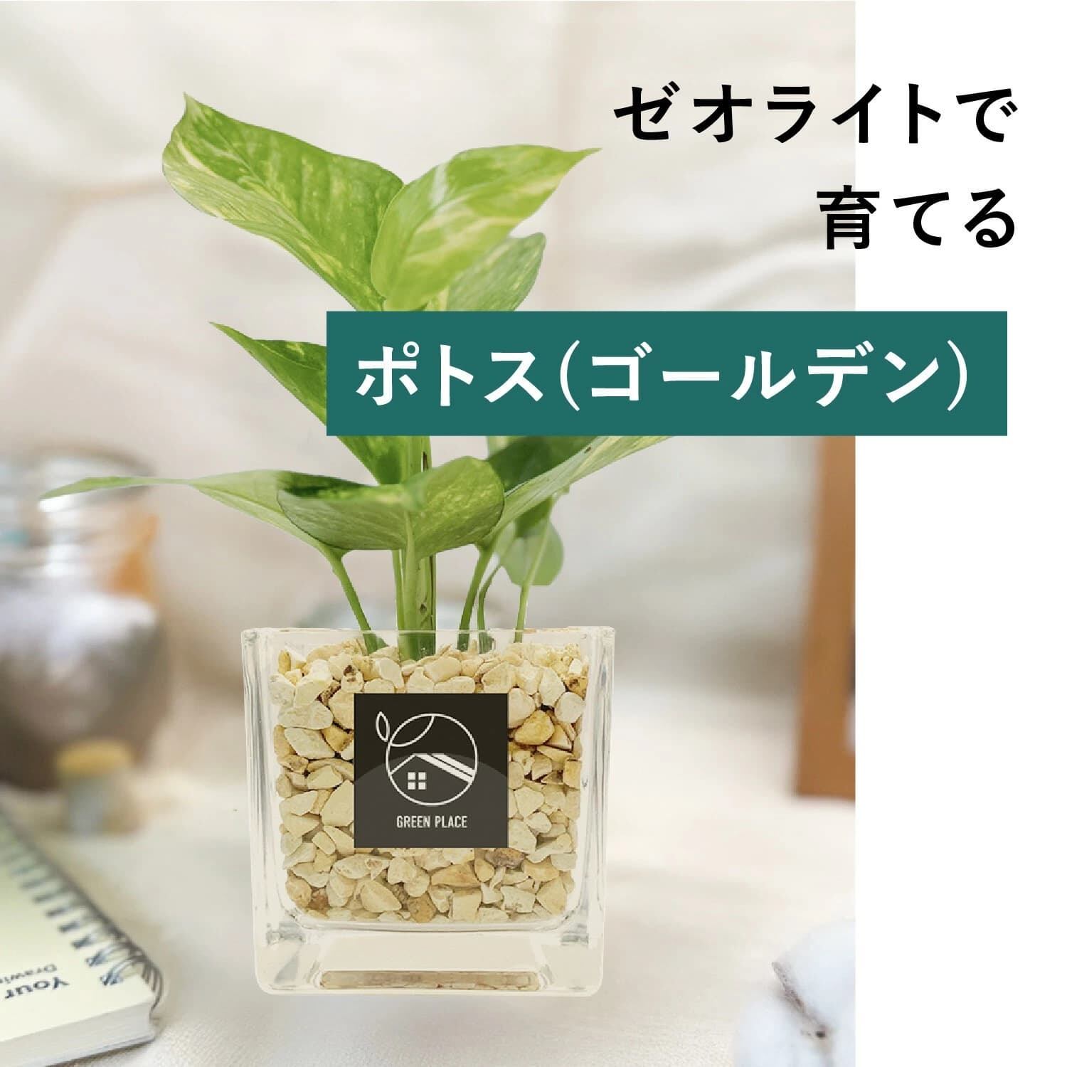 キューブ（四角）型の器