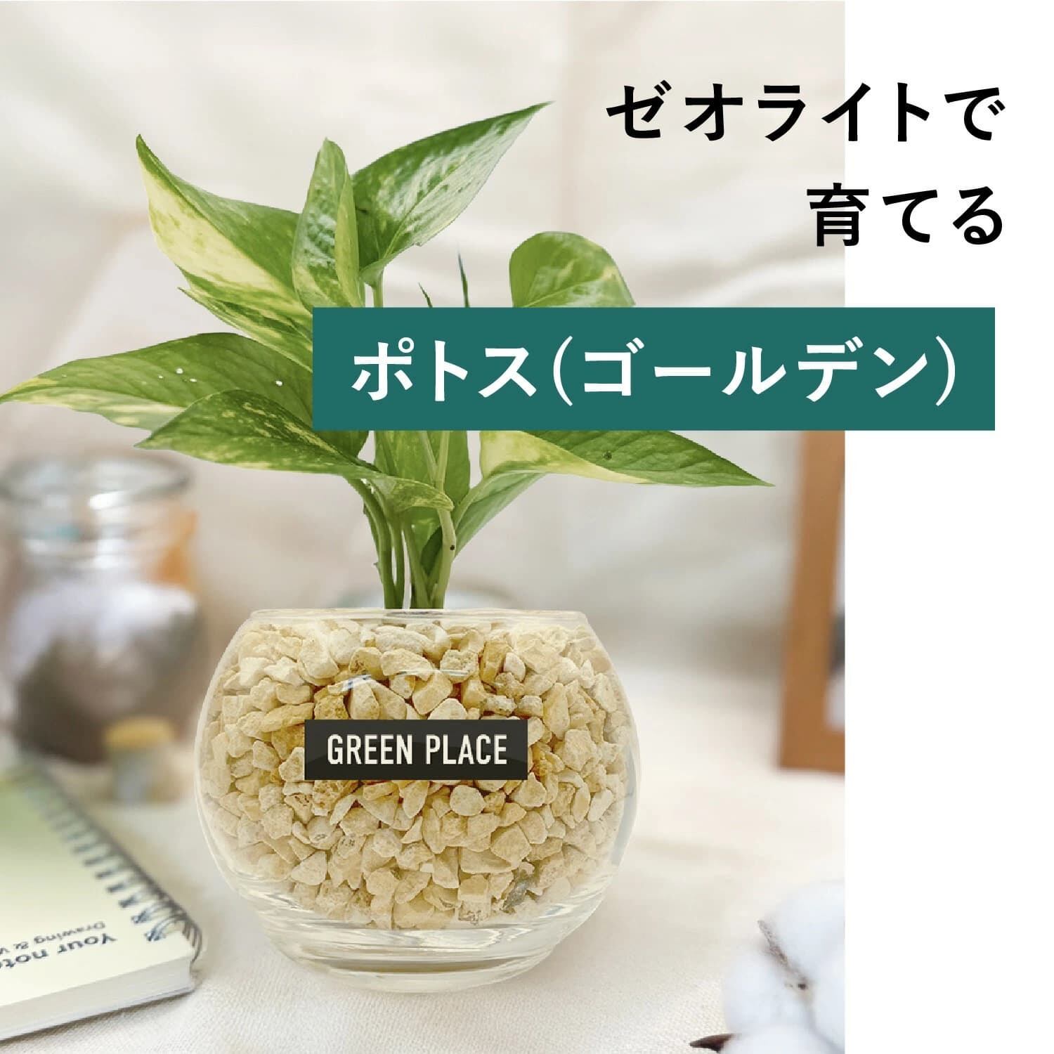 バルーン（丸）型の器