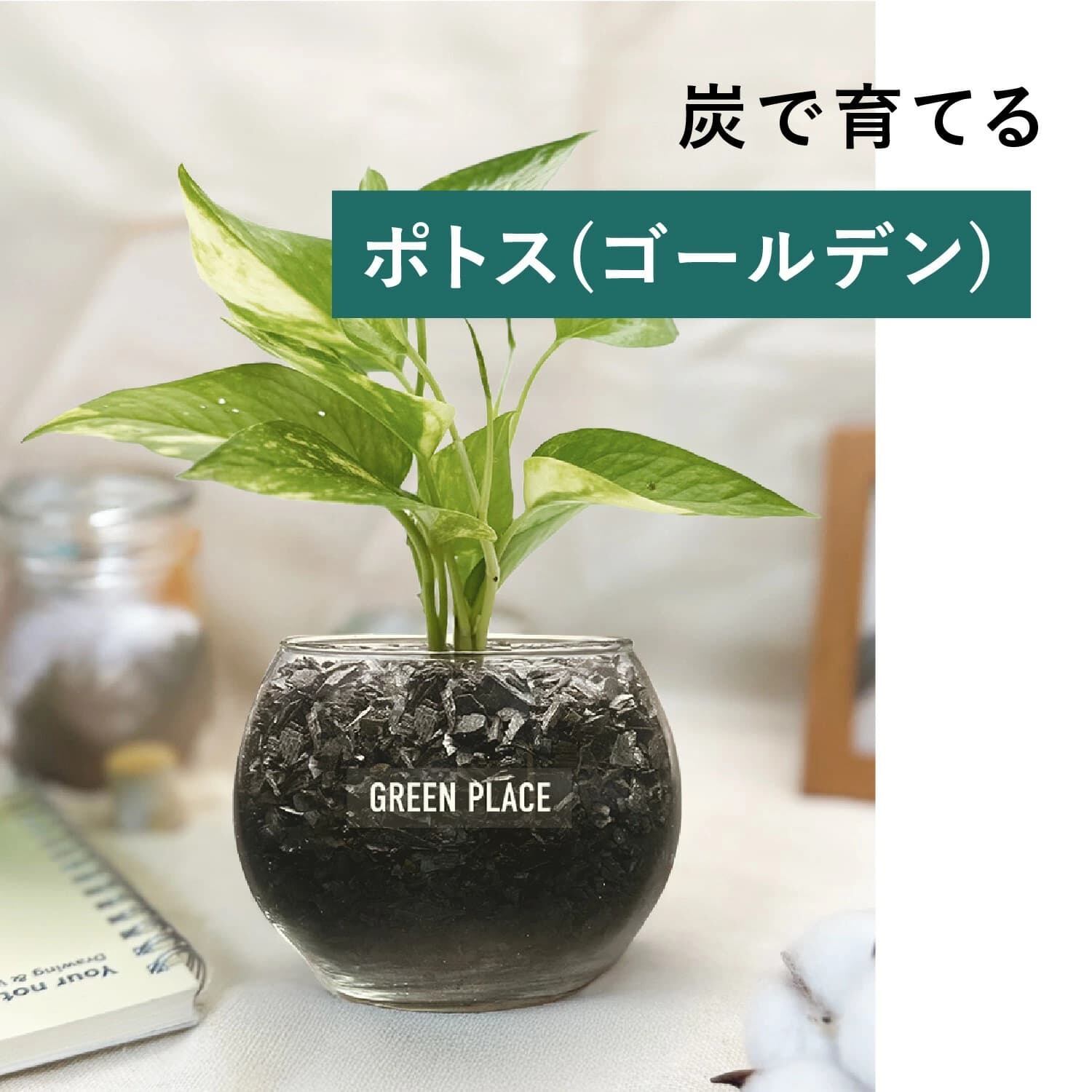 バルーン（丸）型の器