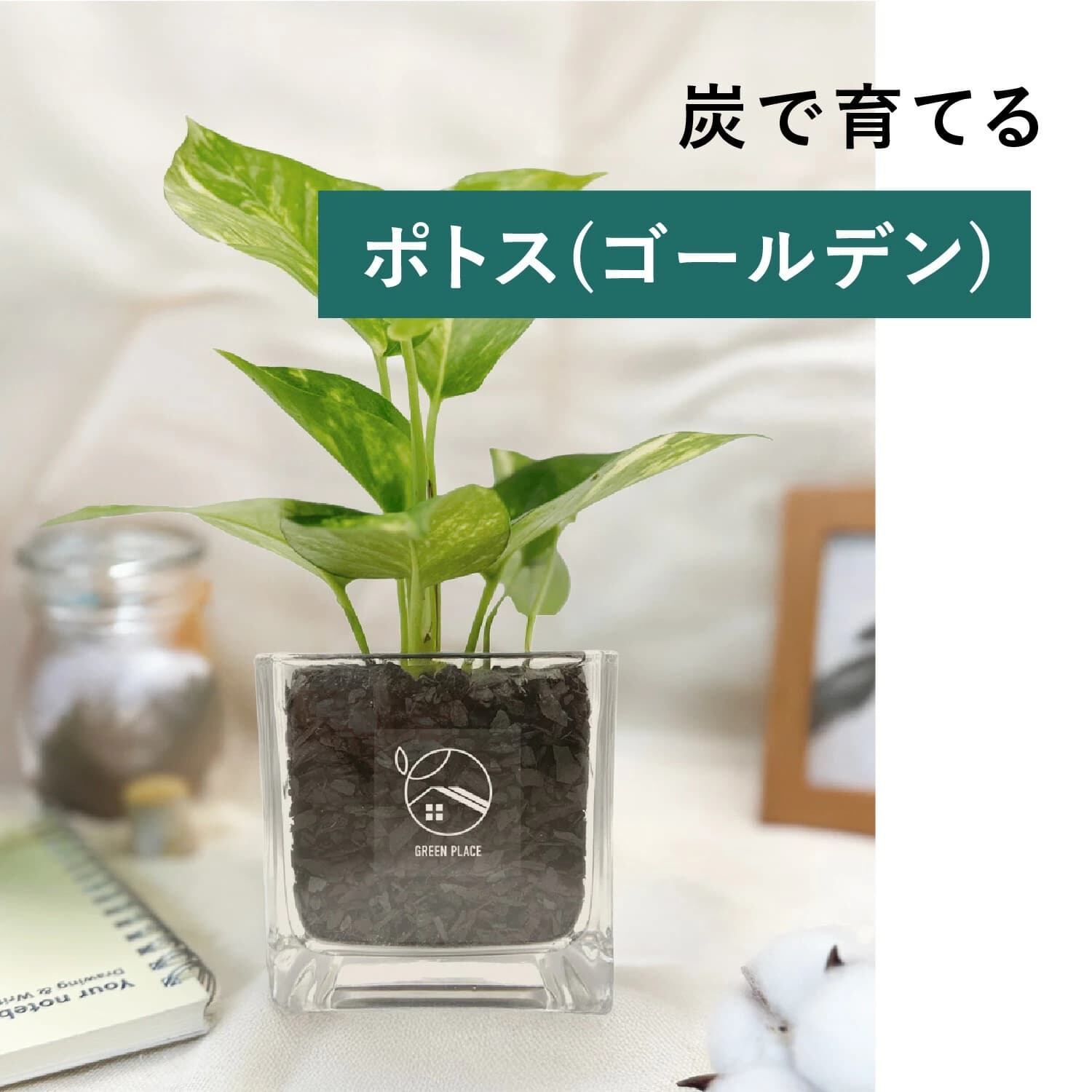 キューブ（四角）型の器