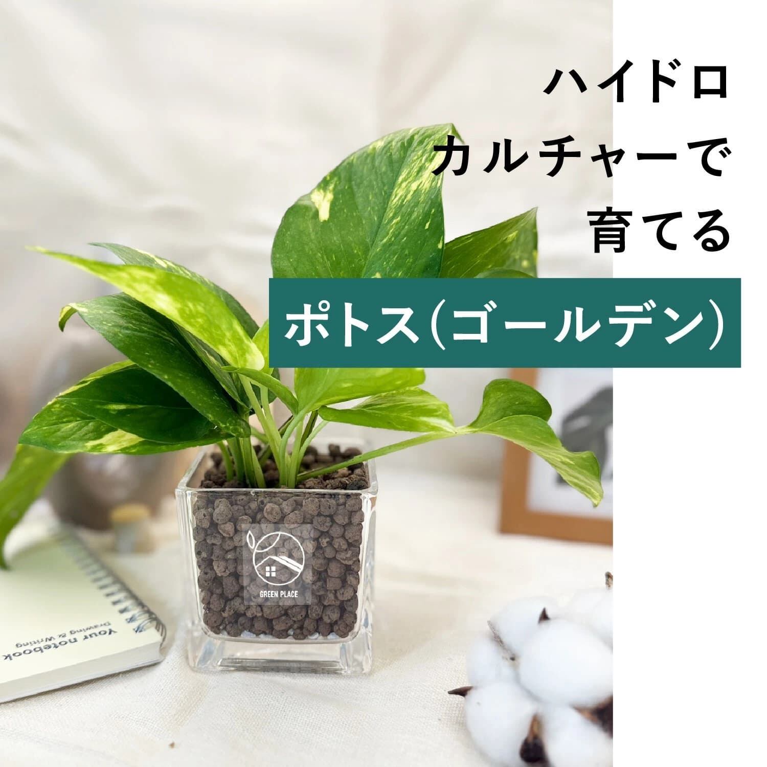 キューブ（四角）型の器