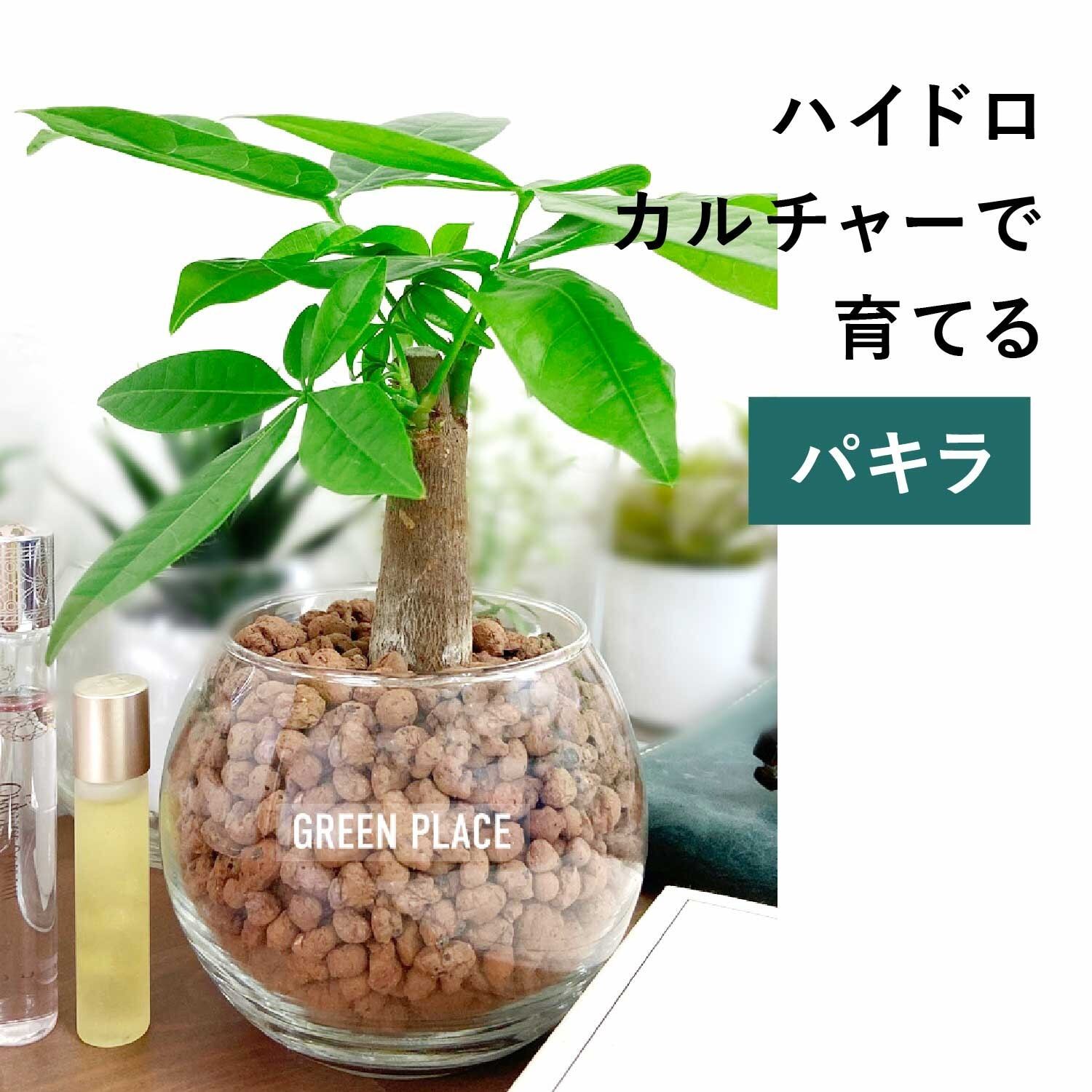 バルーン（丸）型の器