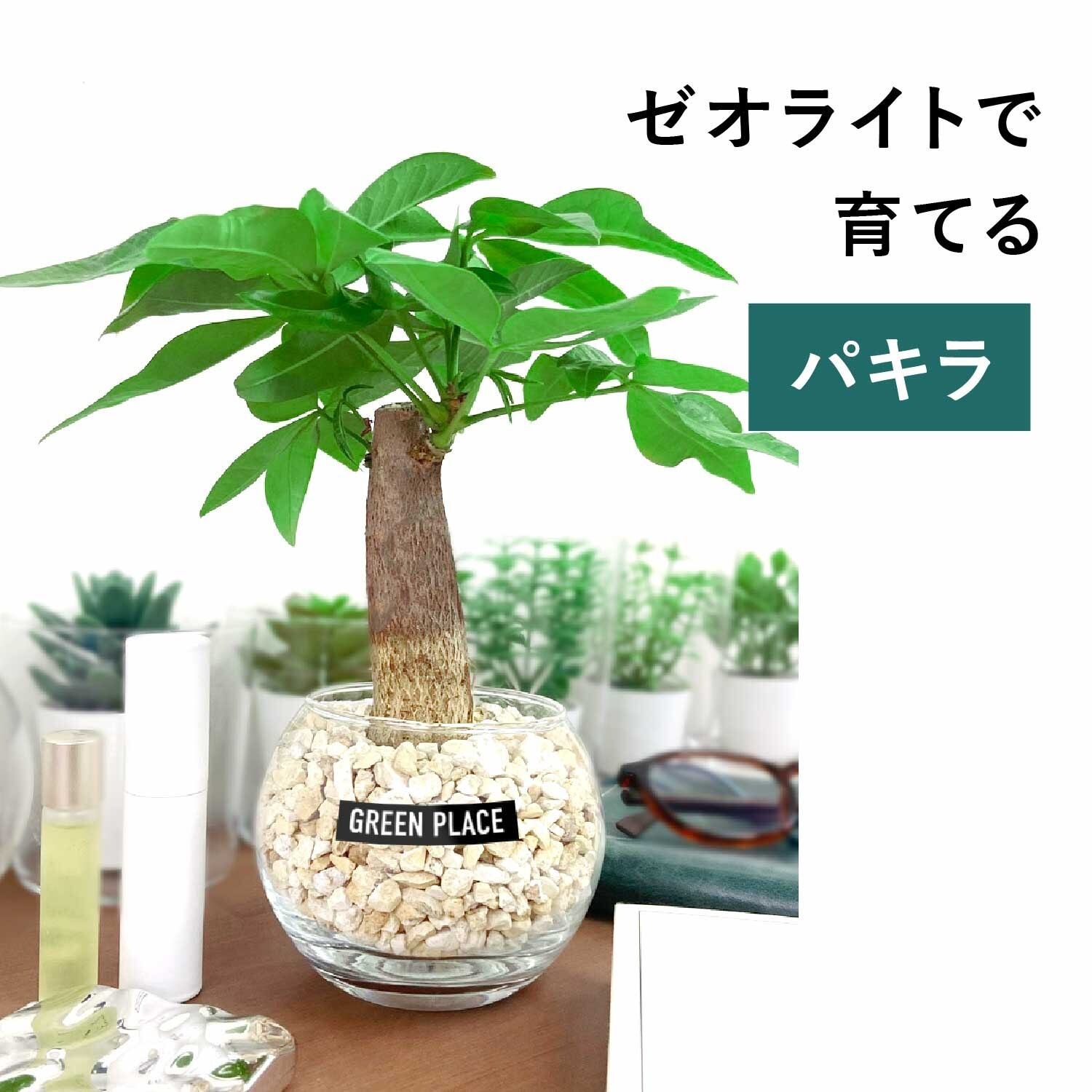 バルーン（丸）型の器