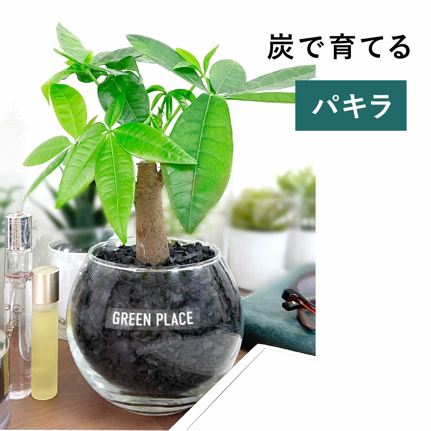 バルーン（丸）型の器