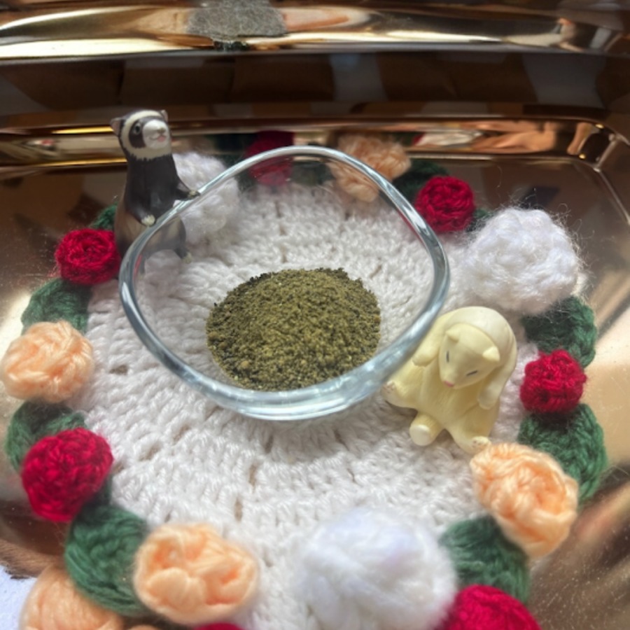 ベストイン１０