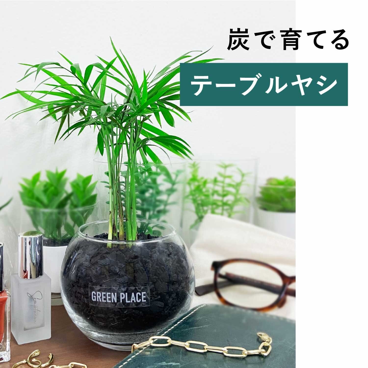 バルーン（丸）型の器