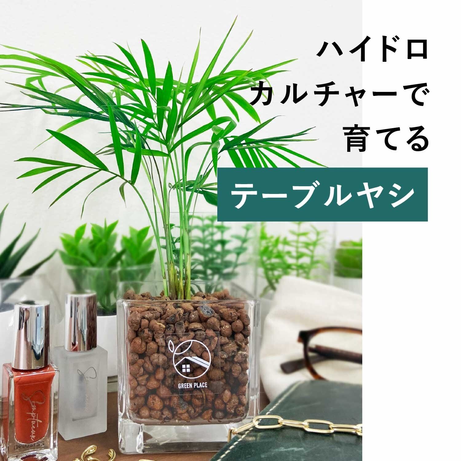 キューブ（四角）型の器