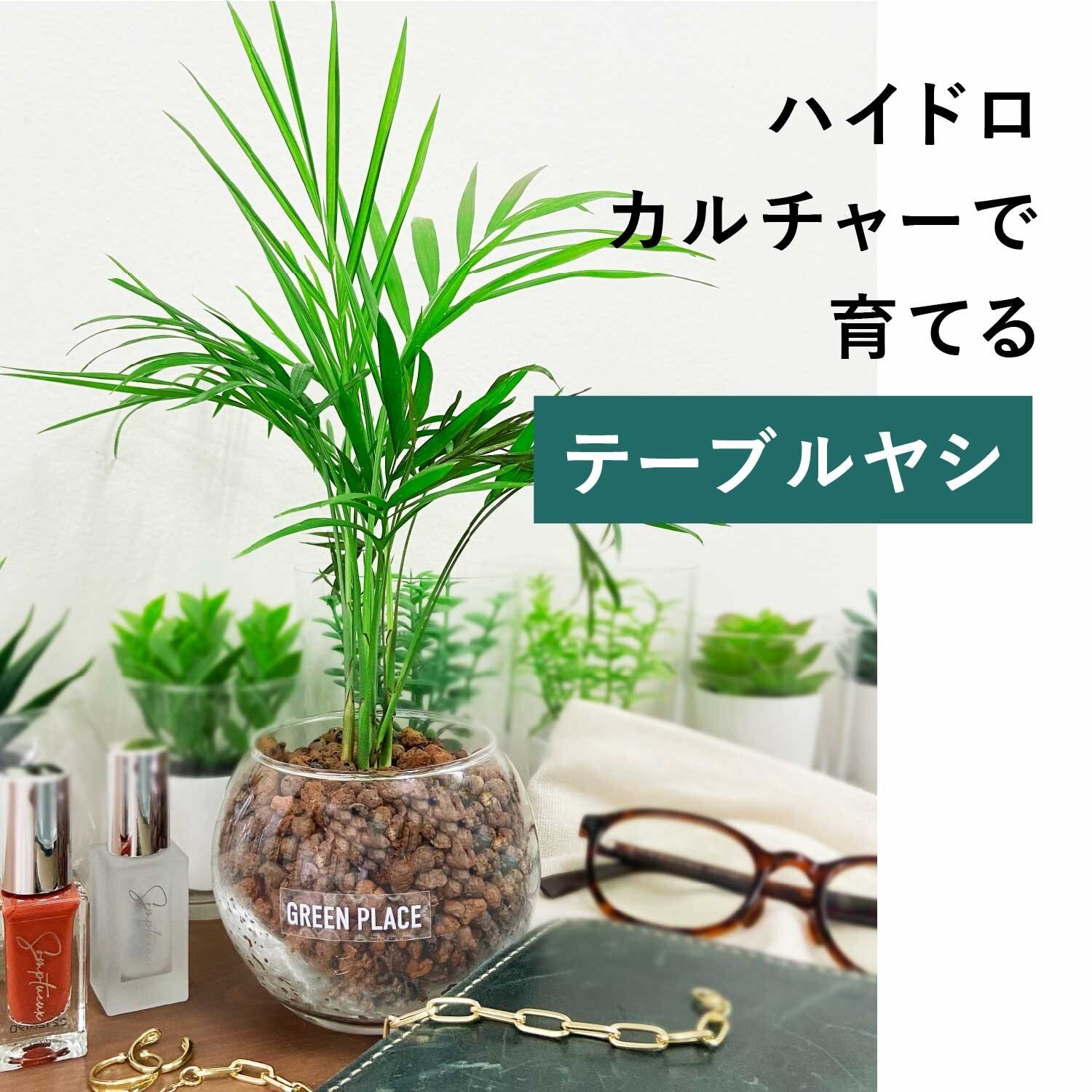 バルーン（丸）型の器