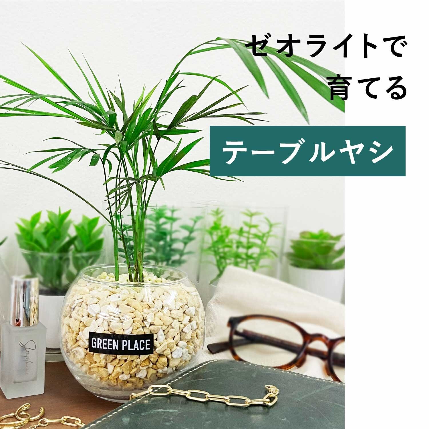 バルーン（丸）型の器