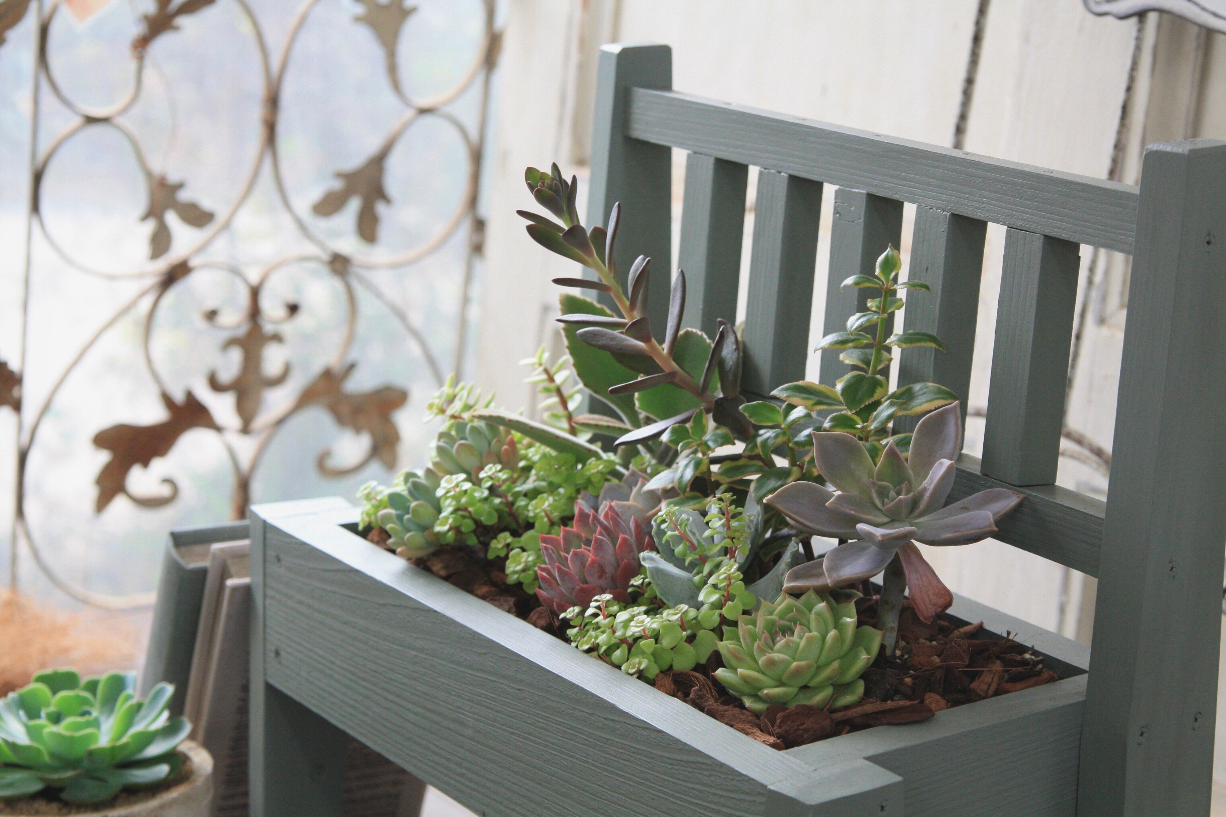 1. グリーンガーデン