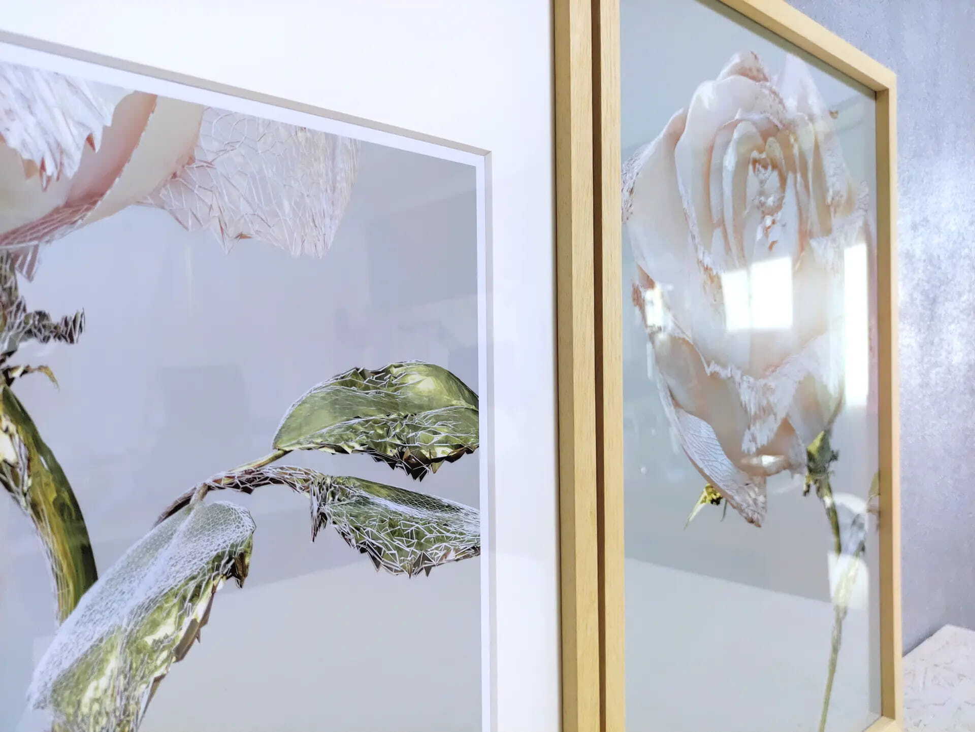 ROSE ONE - No.001, Natural, Side B / 額装済みの薔薇のオリジナル