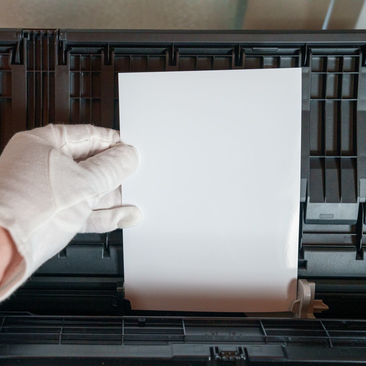 用紙をセット（画像は２L）