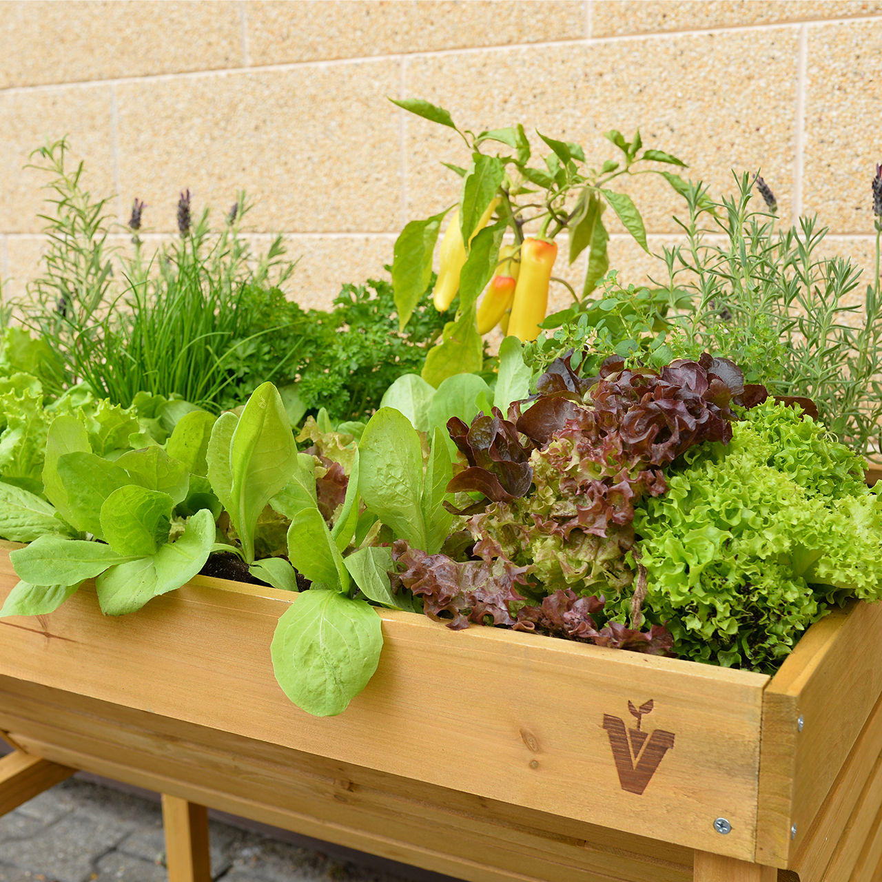 すきま畑 壁ピタ Sサイズ。葉物野菜なら収量も期待できる