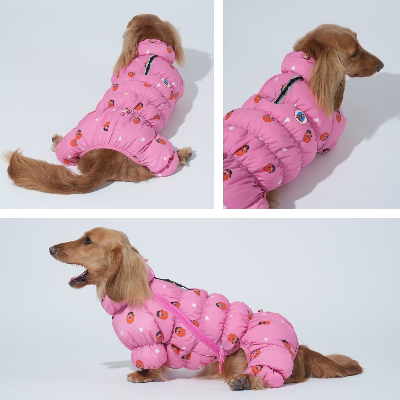 PUPPYGALLERY公式〉キキクラウドオールインワン M-XL | puppygallery