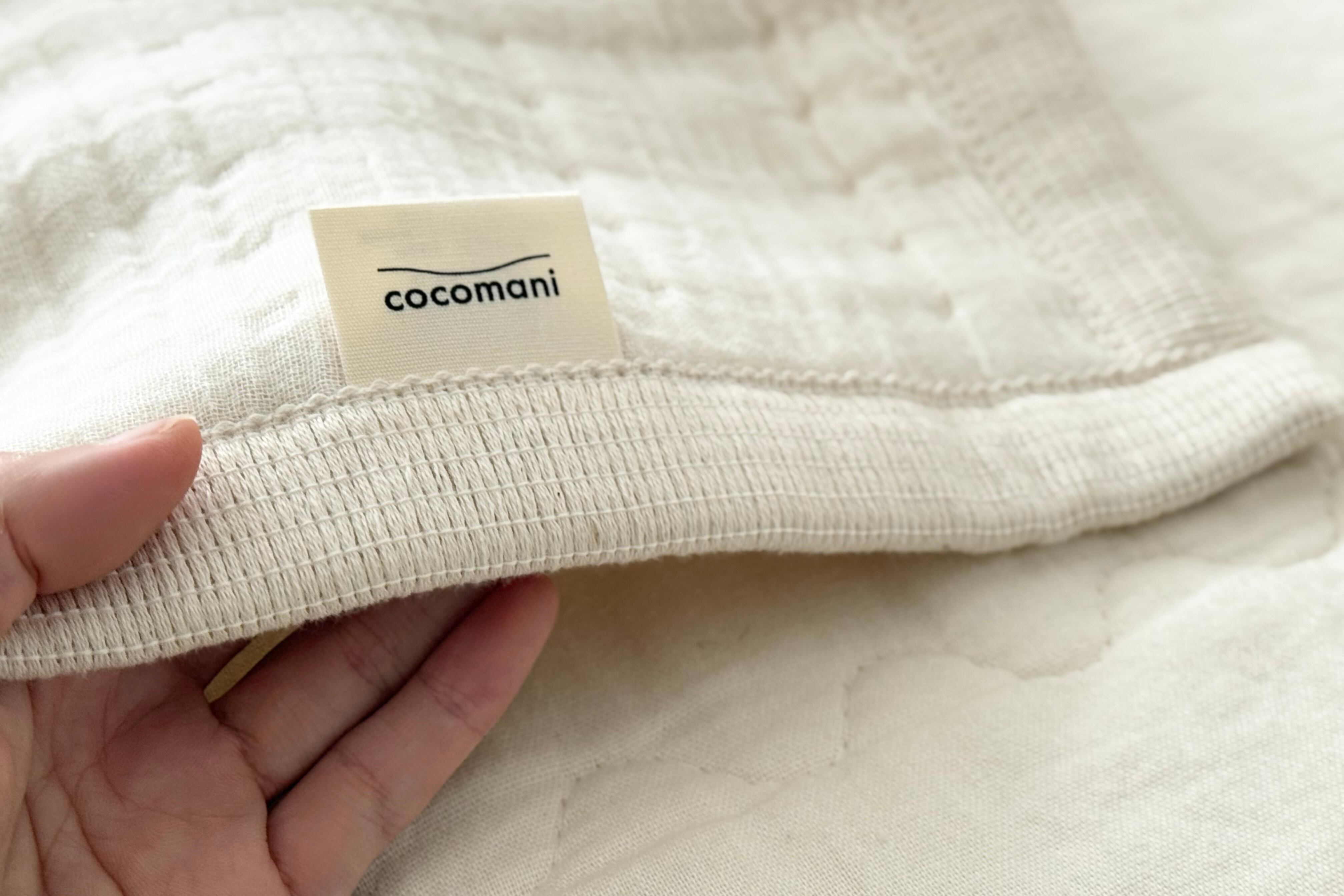 スノーアイボリー