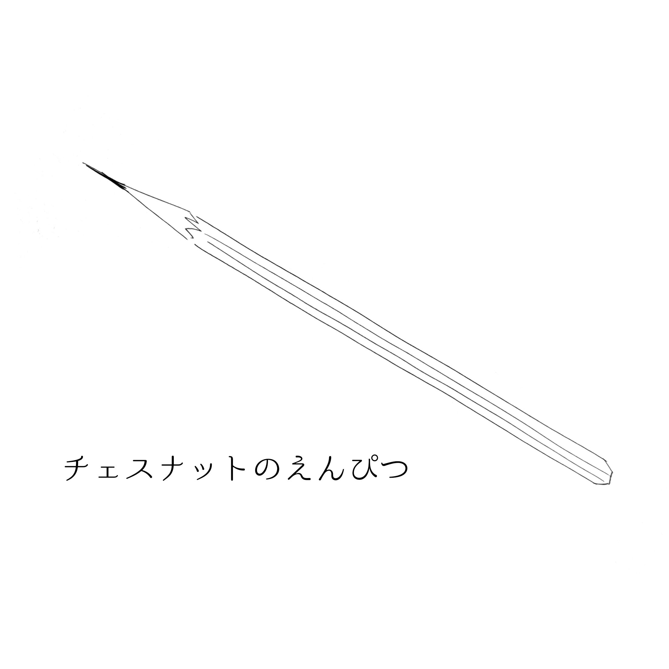 このえんぴつで絵を描くよ！