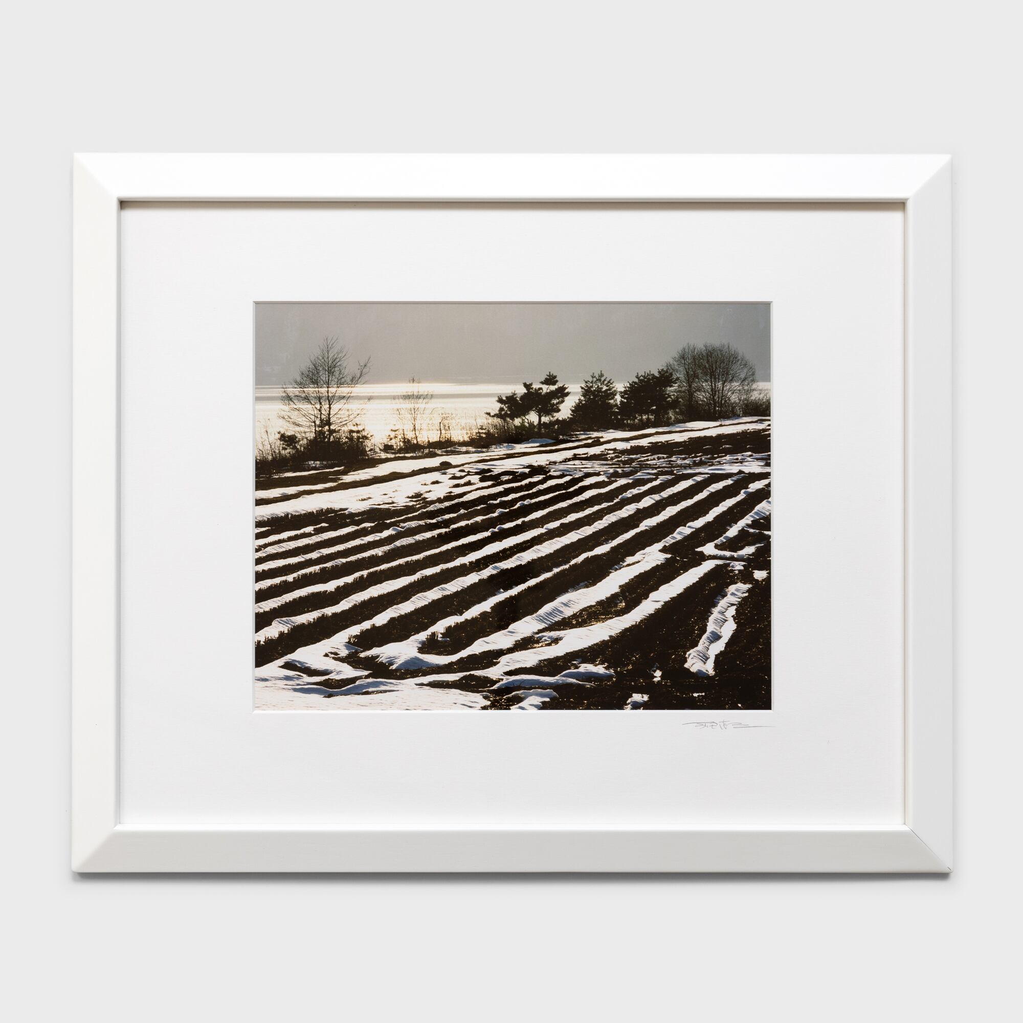 前田真三額装写真「花鳥山水・四季絵模様」白木額〈展示品／直筆サイン