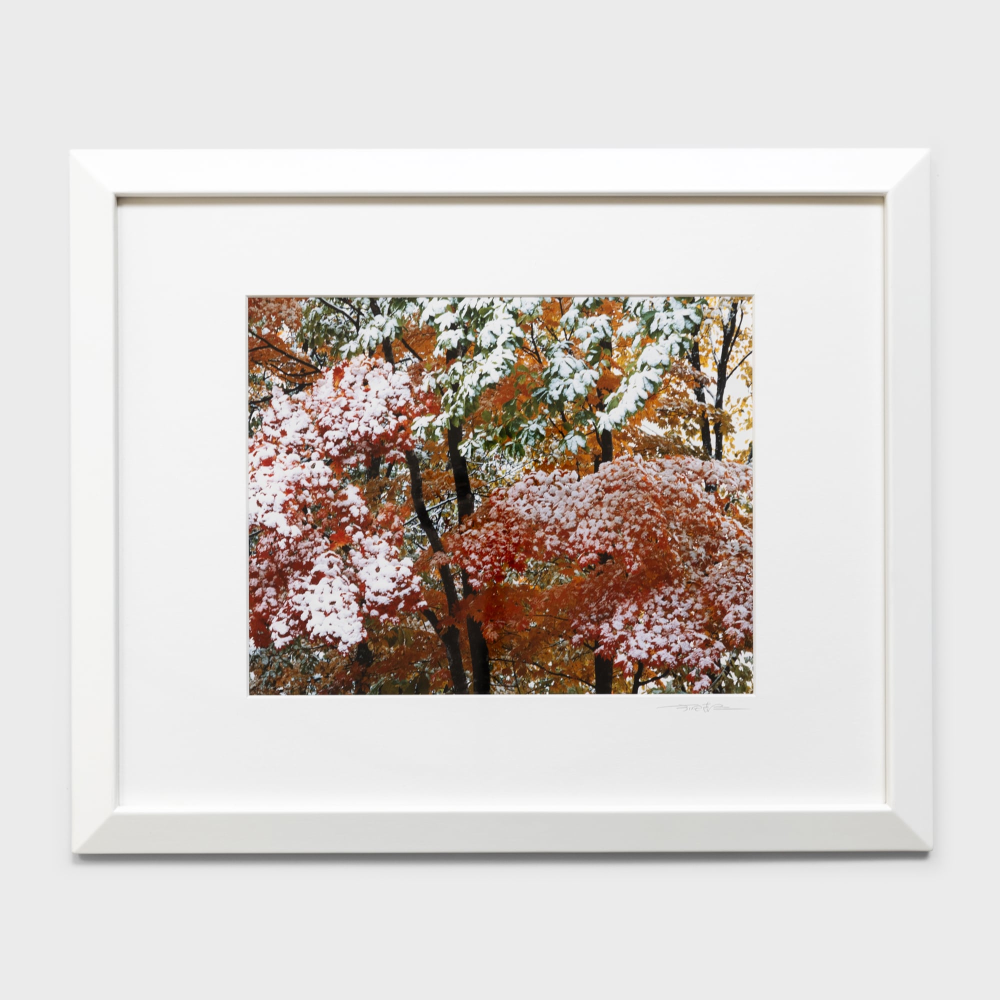 前田真三額装写真「花鳥山水・四季絵模様」白木額〈展示品／直筆サイン