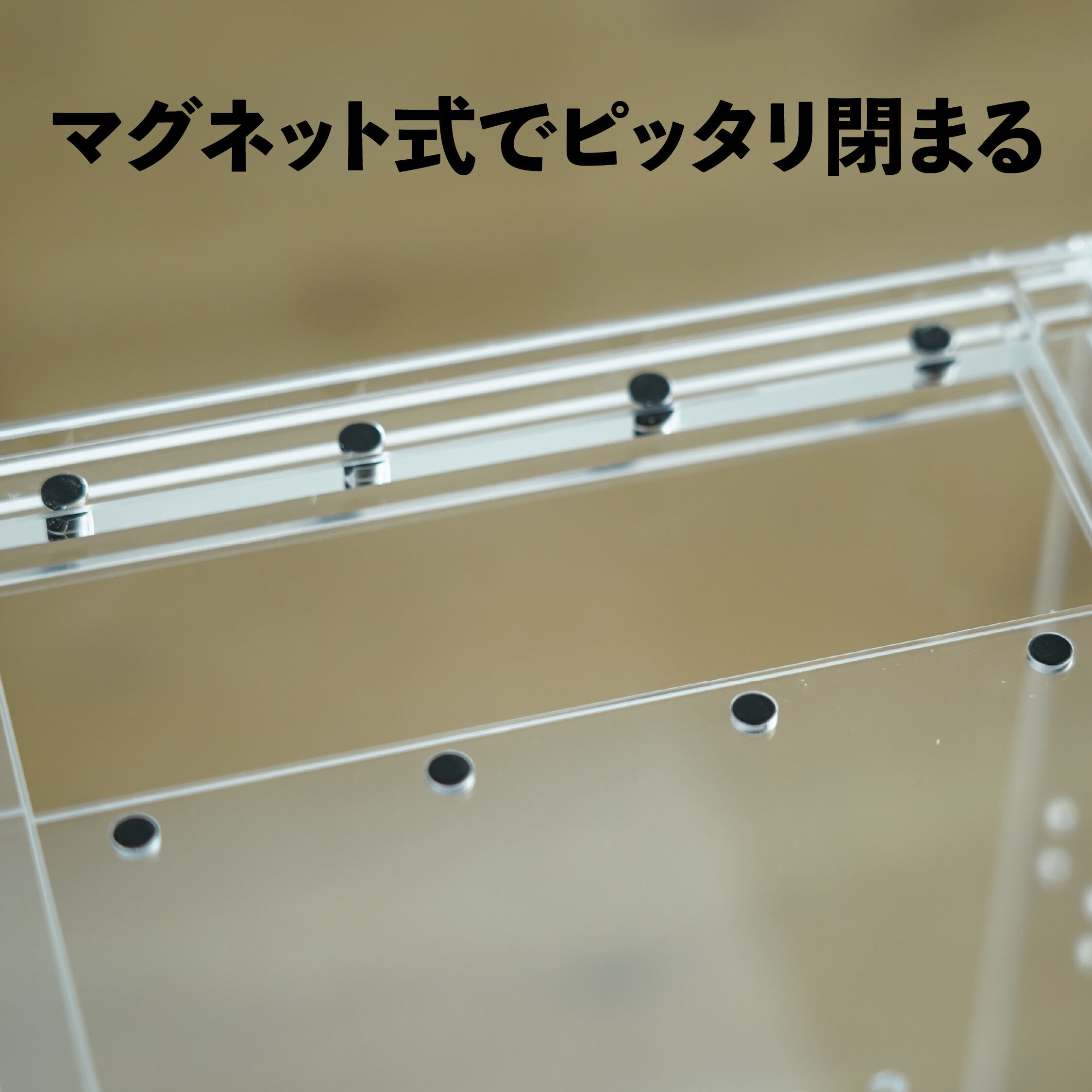アクリル容器】レプタイルボックス ハイS（150x150xh250mm