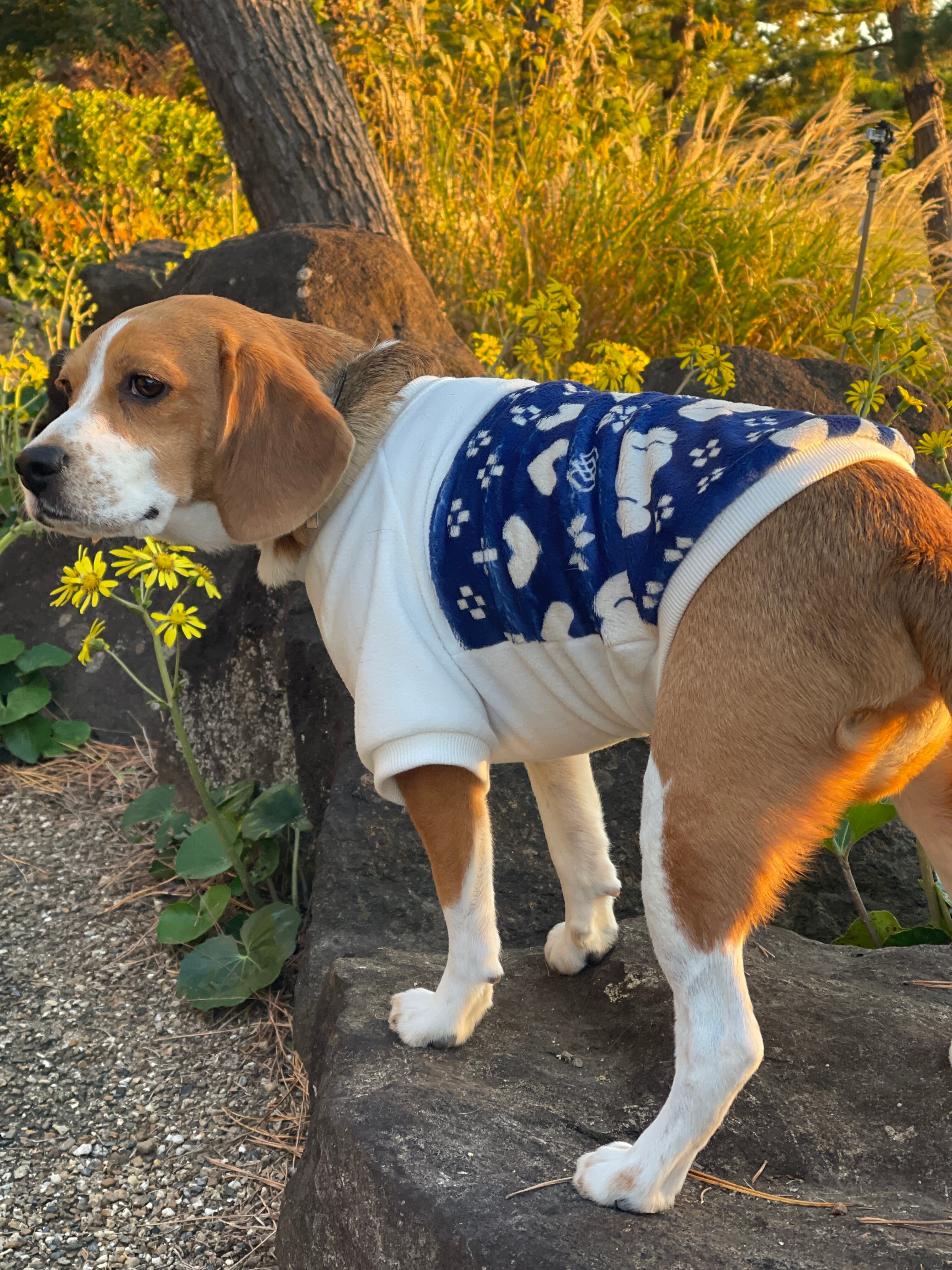 温かいフリース素材