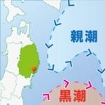 親潮と黒潮が交わる海域にあり、これらの海流が運ぶ栄養分が牡蠣の成長を促進します。