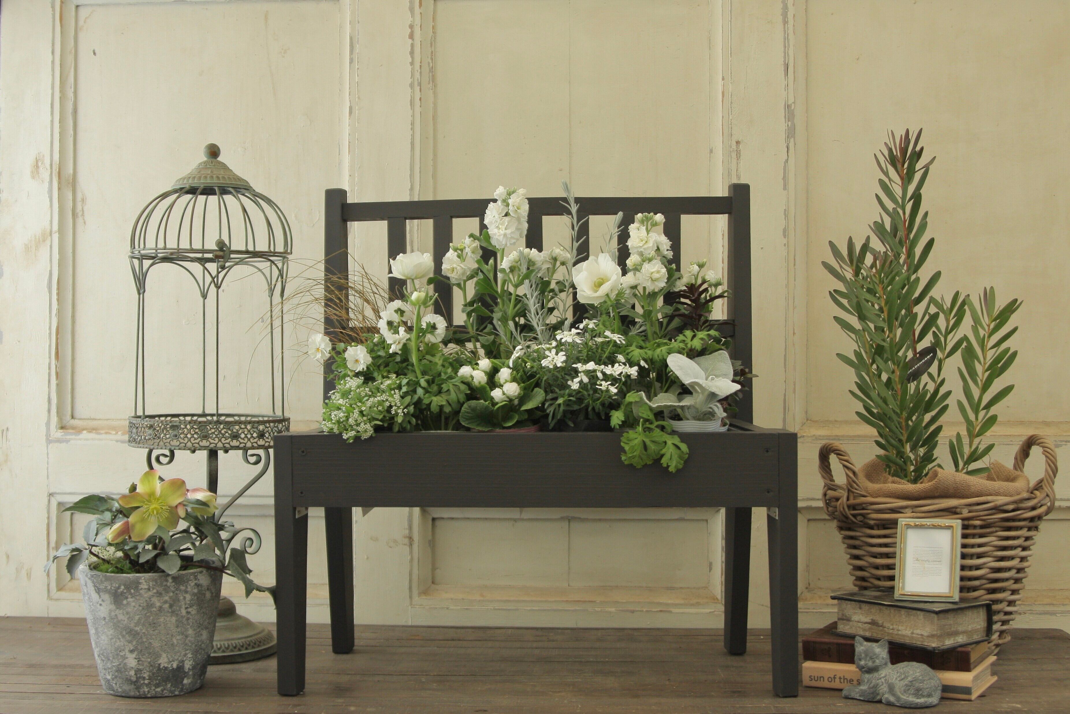 ２： ブラックブラウン