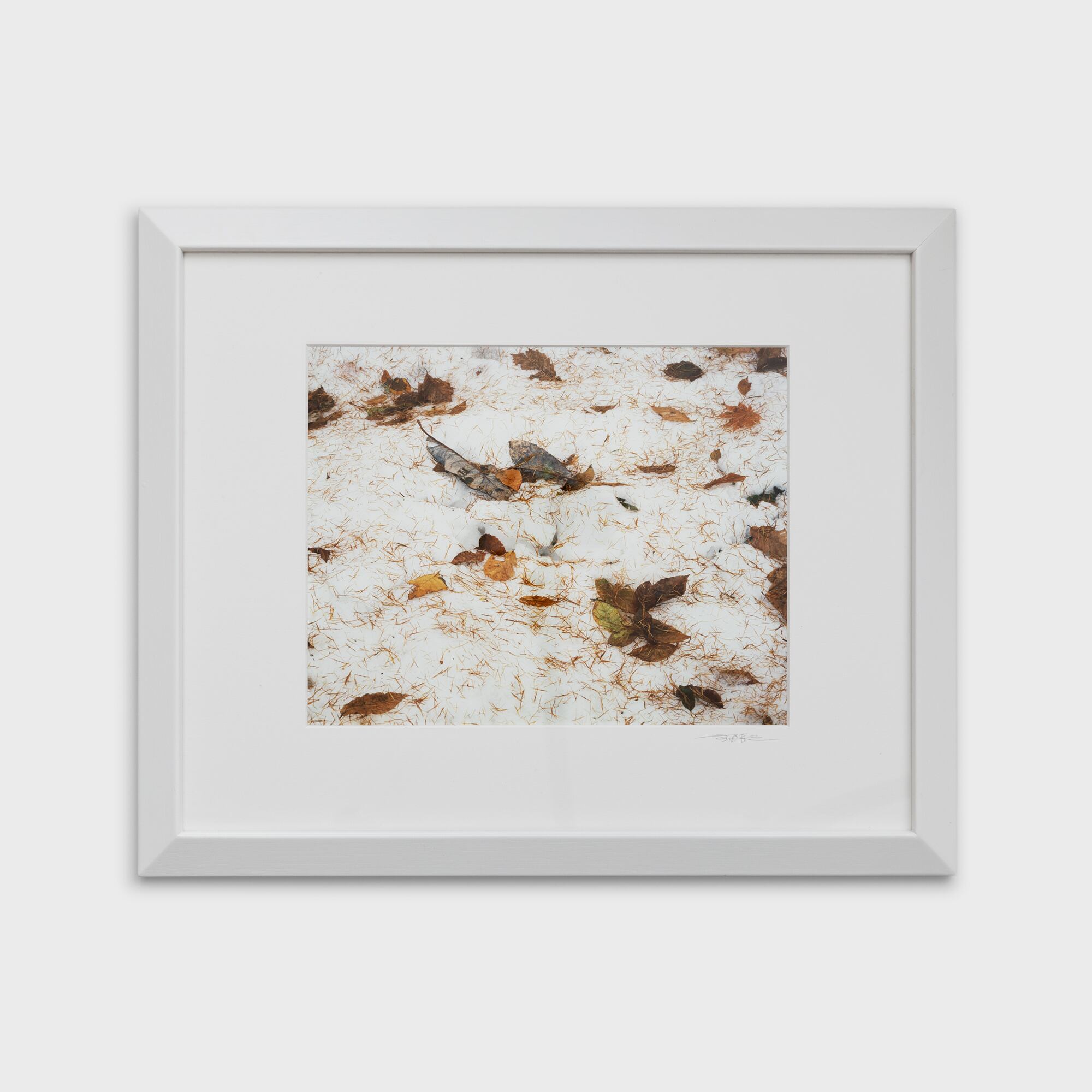 12　新雪落葉　福島県裏磐梯