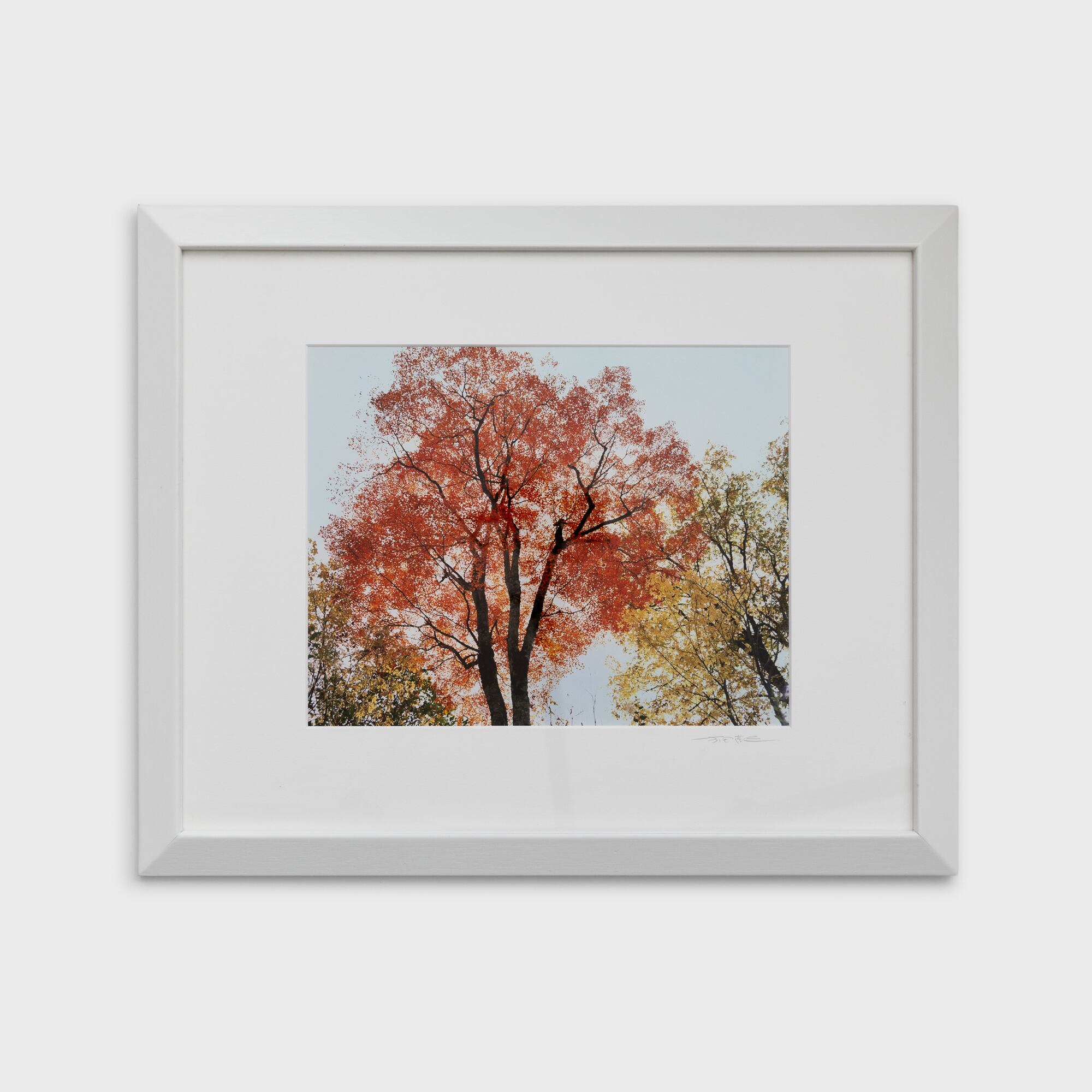 18　紅葉鮮やか　群馬県みなかみ町