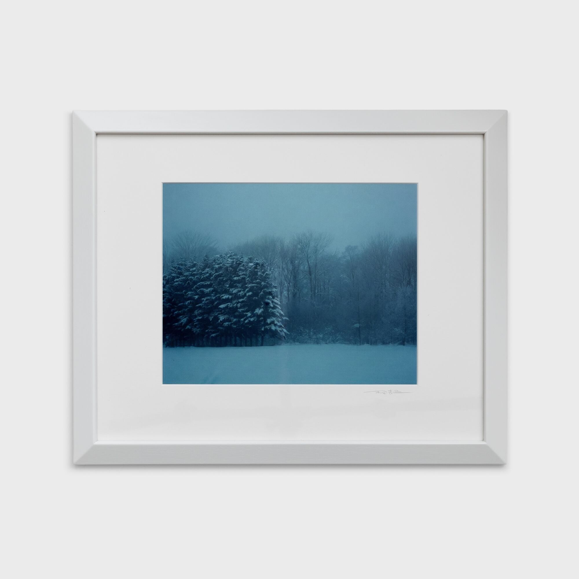 14　雪林煙る　北海道美瑛町