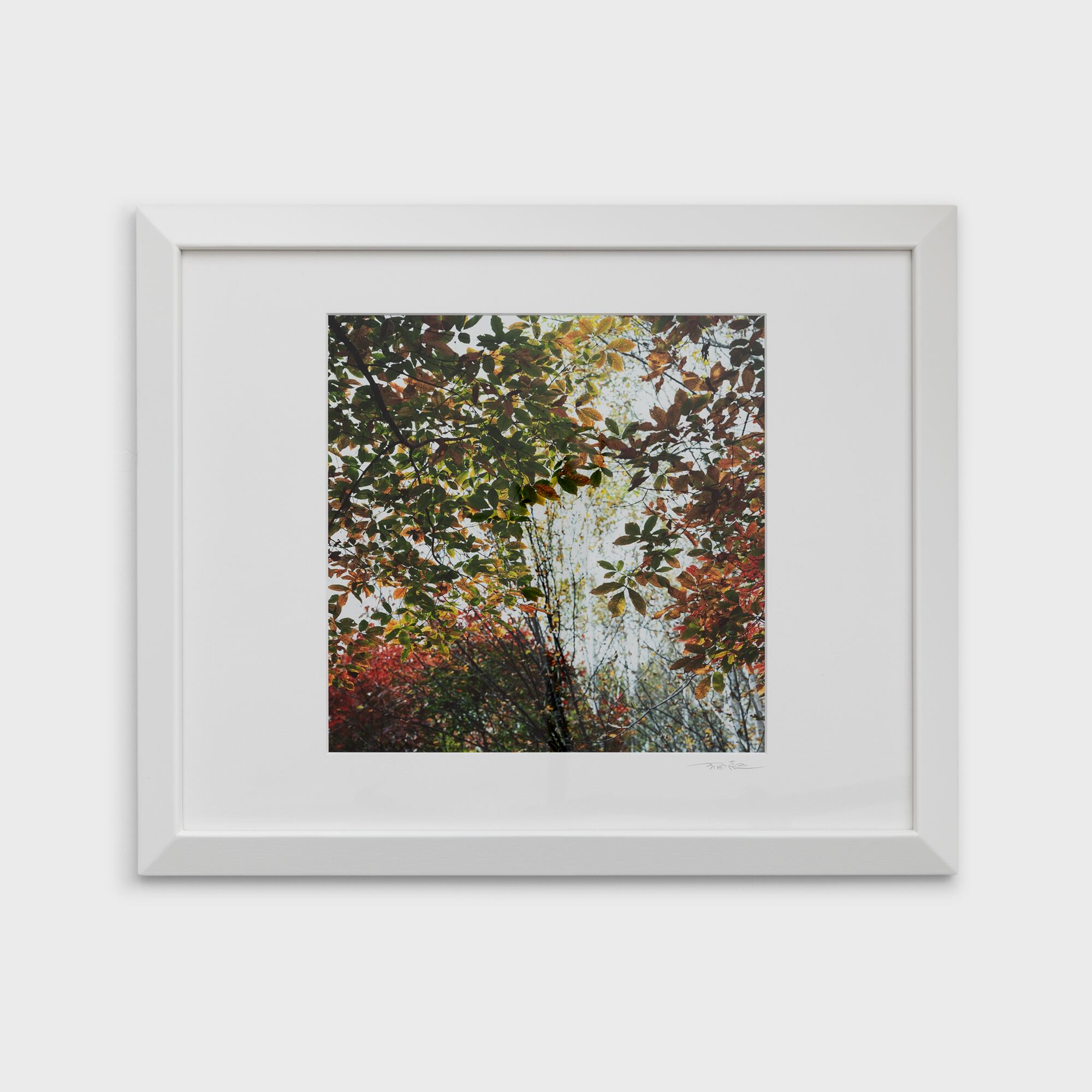 6　秋林淡彩　群馬県みなかみ町