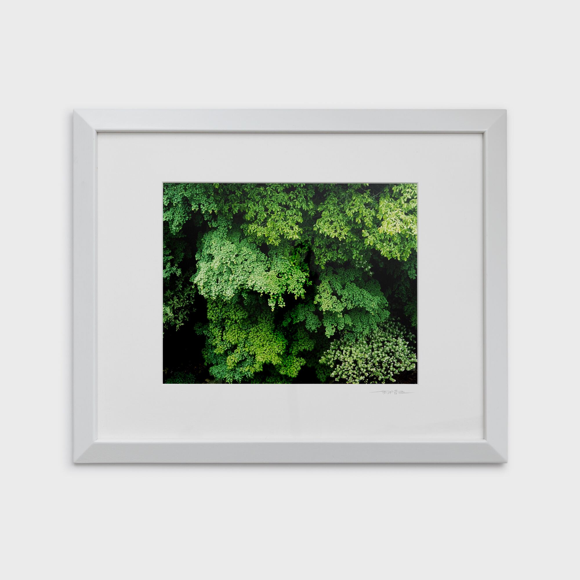 21　重なる緑葉　長野県三才山