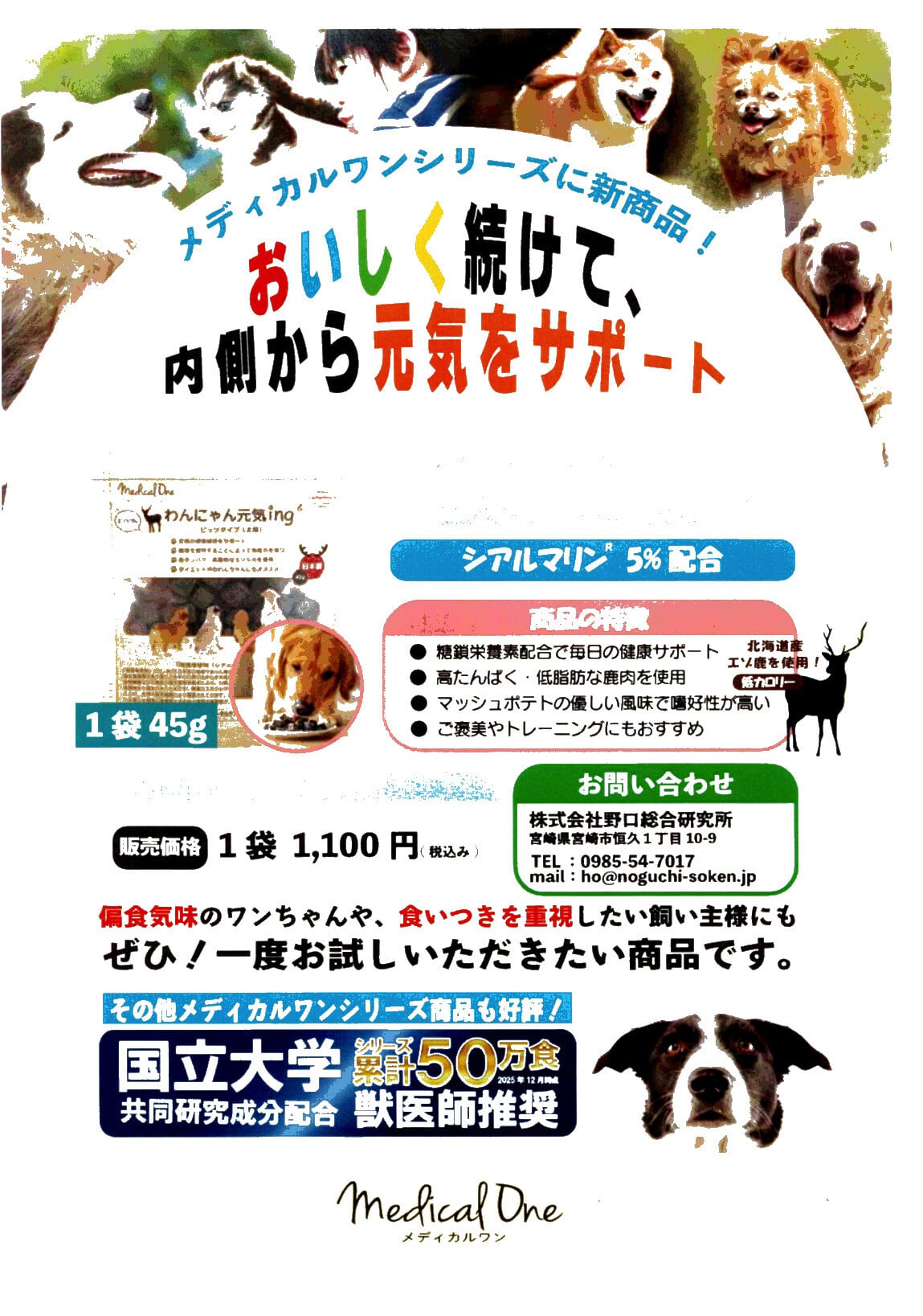 メディカルワン わんにゃん元気ing ビッツタイプ 犬用おやつ NEW