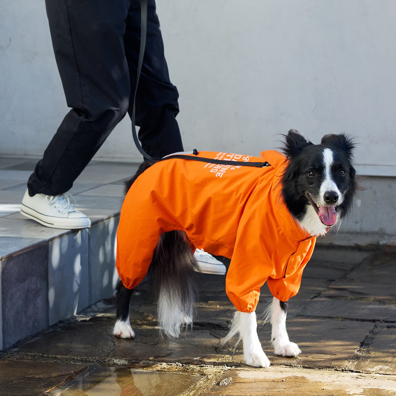タ*マ様 MANDARINE BROTHERS RAIN SUIT イエロー RAIN SUIT（XL.XXL） レインスーツ | MANDARINE BROTHERS マンダリン