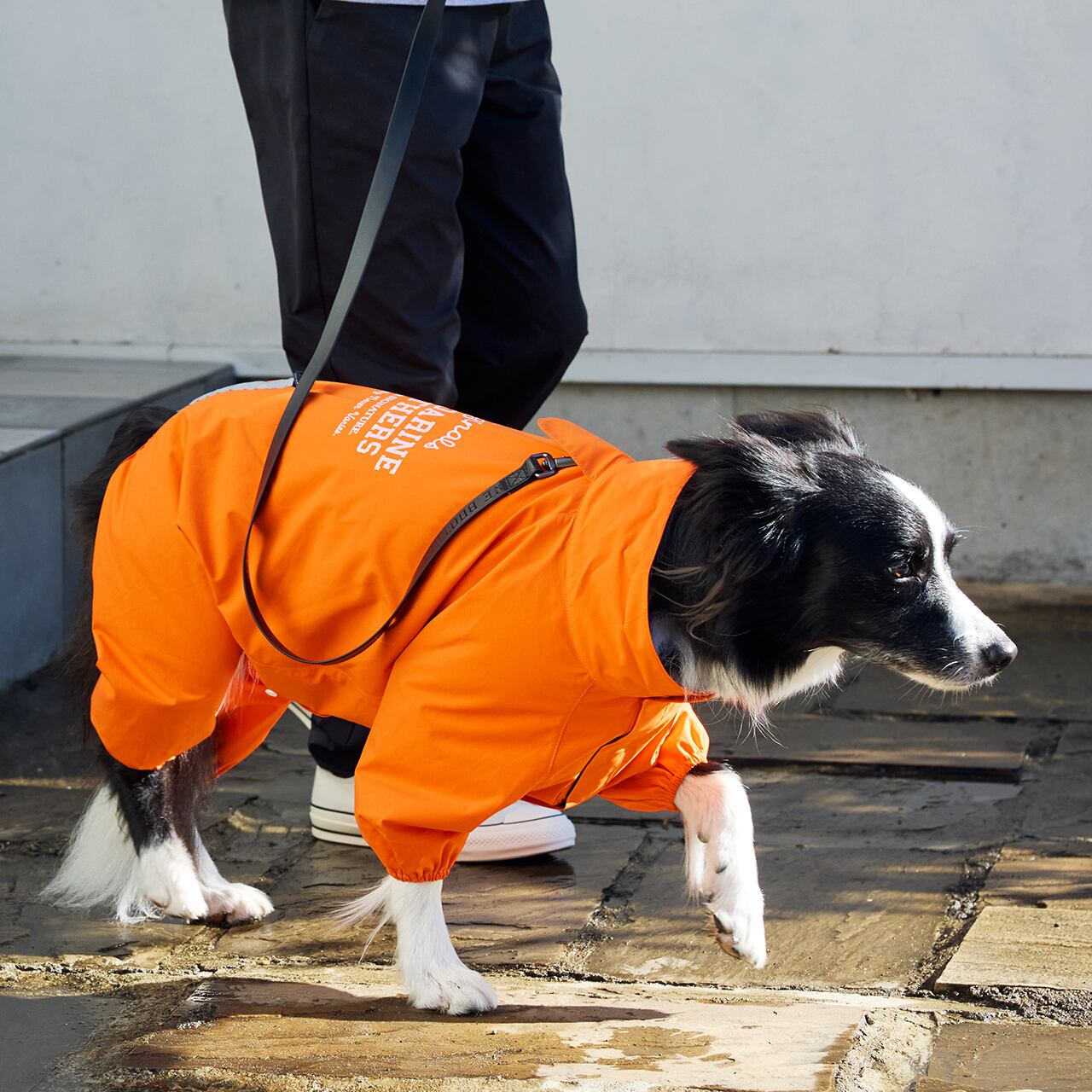 RAIN SUIT（XL.XXL） レインスーツ | MANDARINE BROTHERS マンダリン