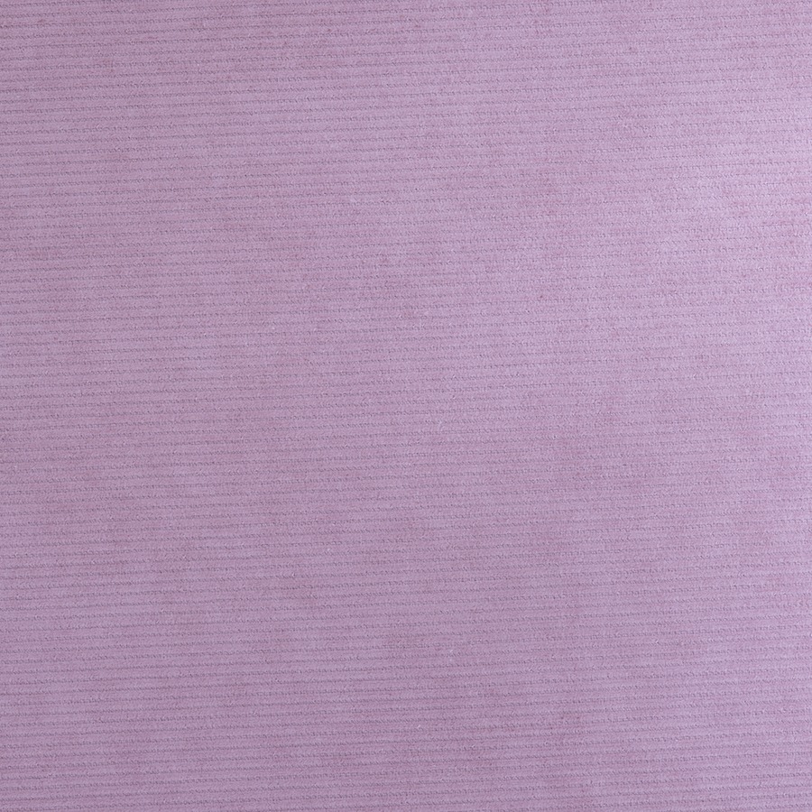 右側スポット照明 right side spot light