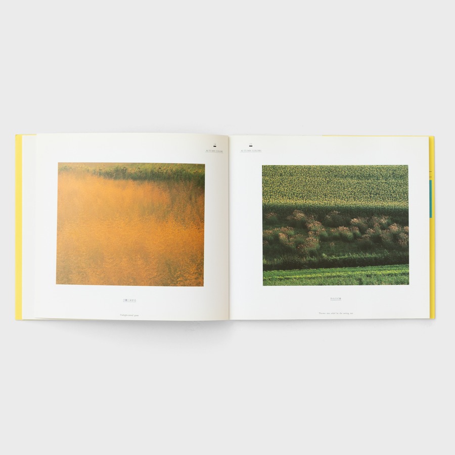 全17作品の中からお選びください