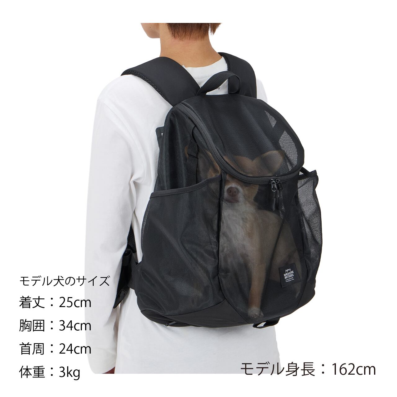 MESH WINSTON HUG BAG メッシュウィンストンハグバッグ | MANDARINE