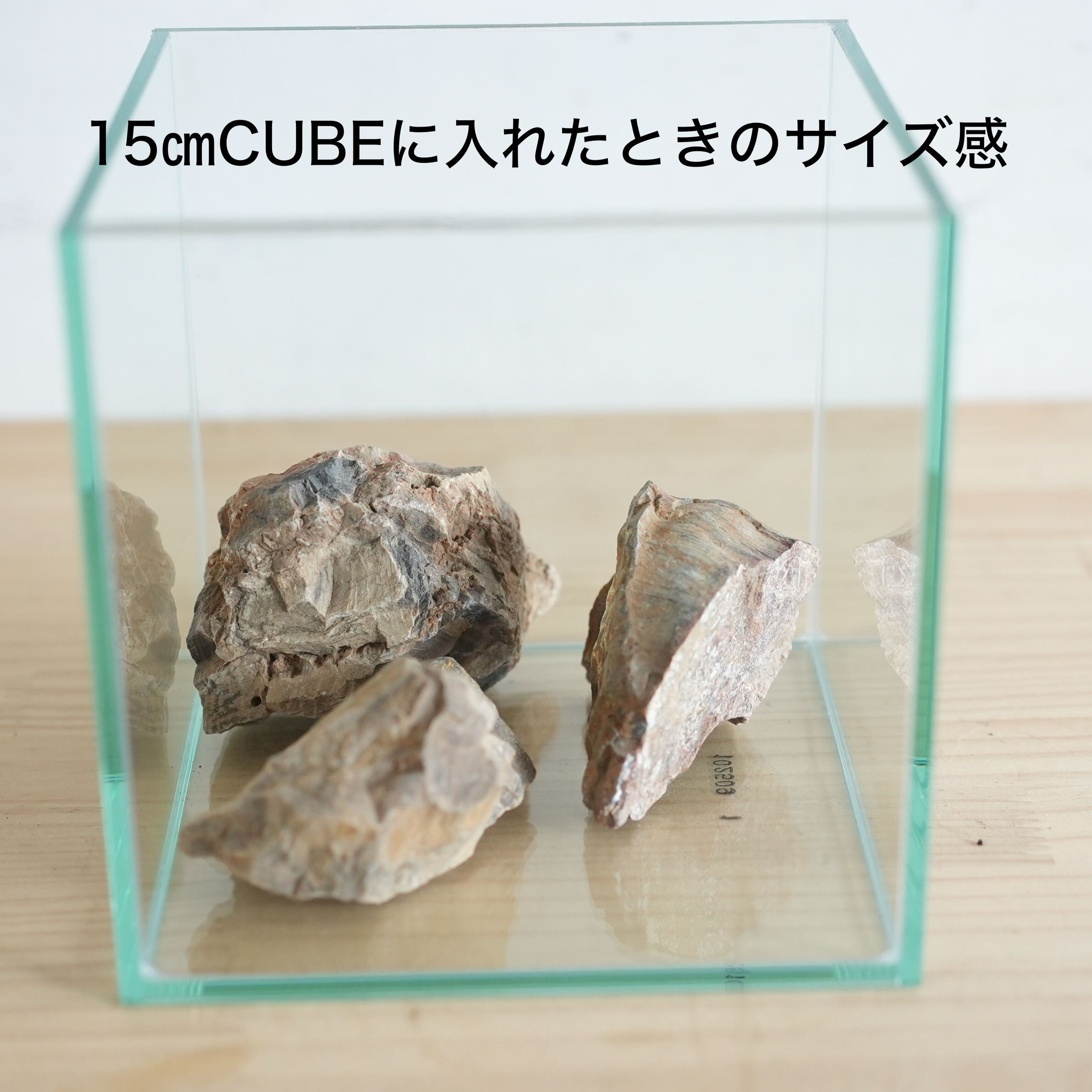 木化石 Mサイズ（7㎝前後） 3個入り【テラリウムレイアウト用】 | 苔