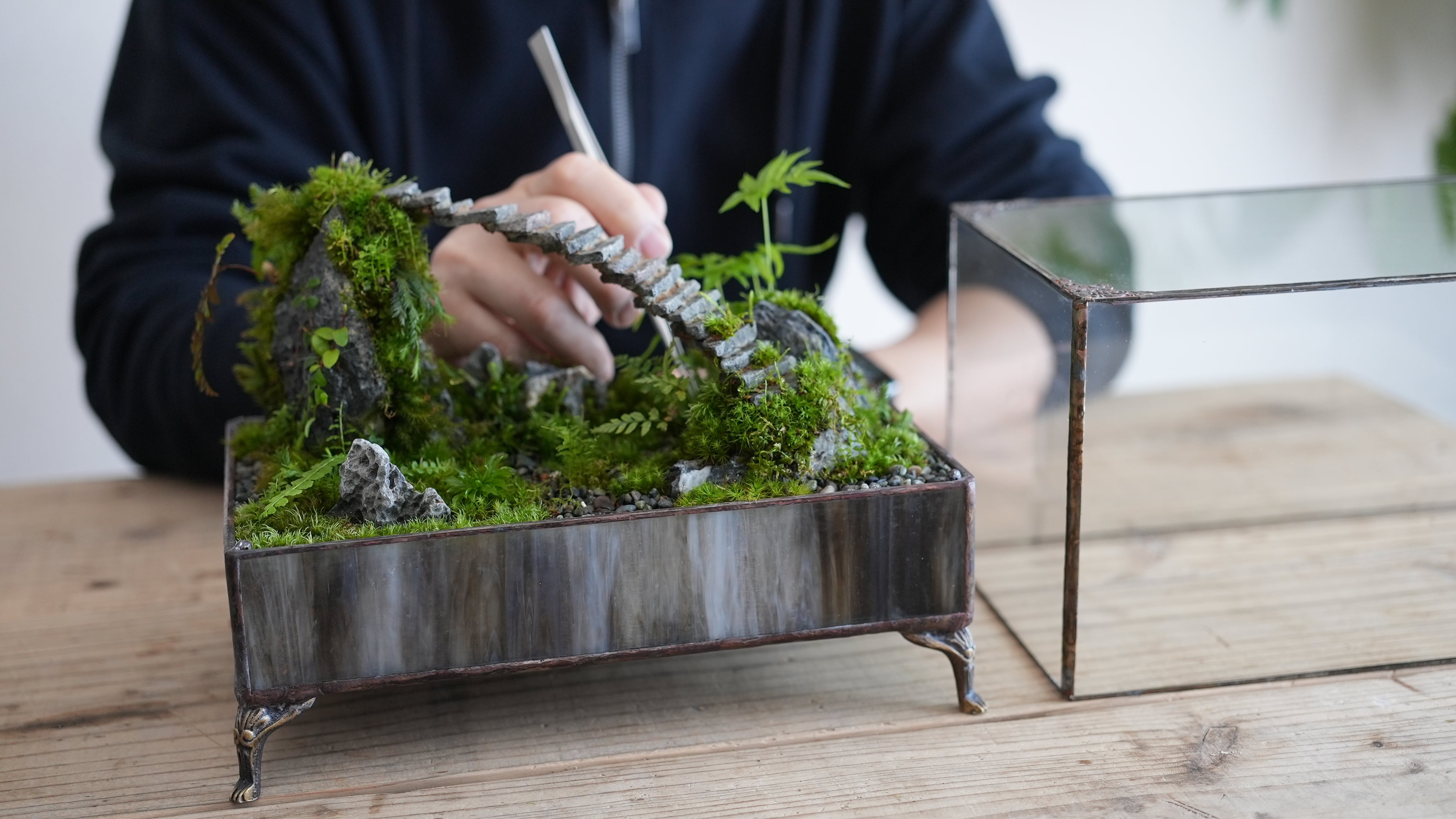 限定5台】植物を美しく見せるワーディアンケース｜IKUIT×道草コラボ