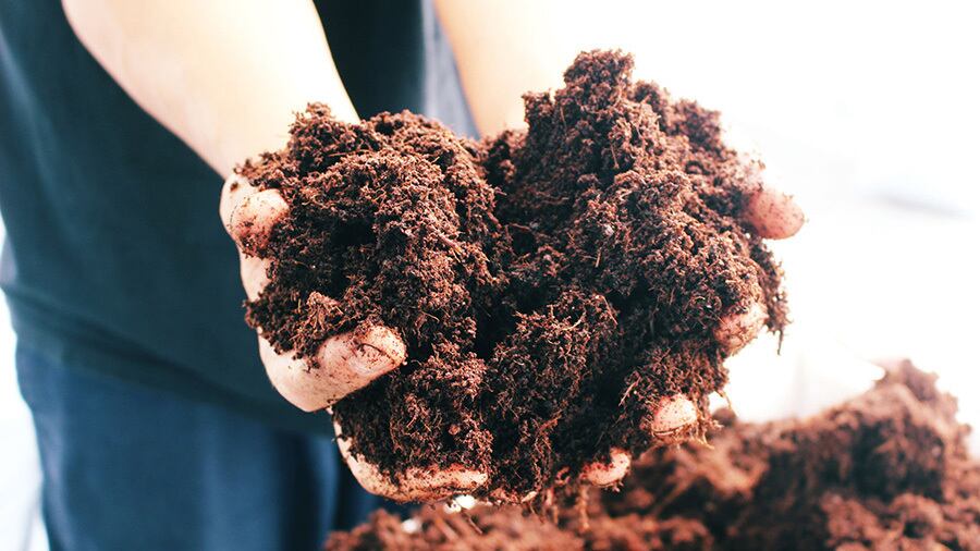 独自に配合したこだわりの土